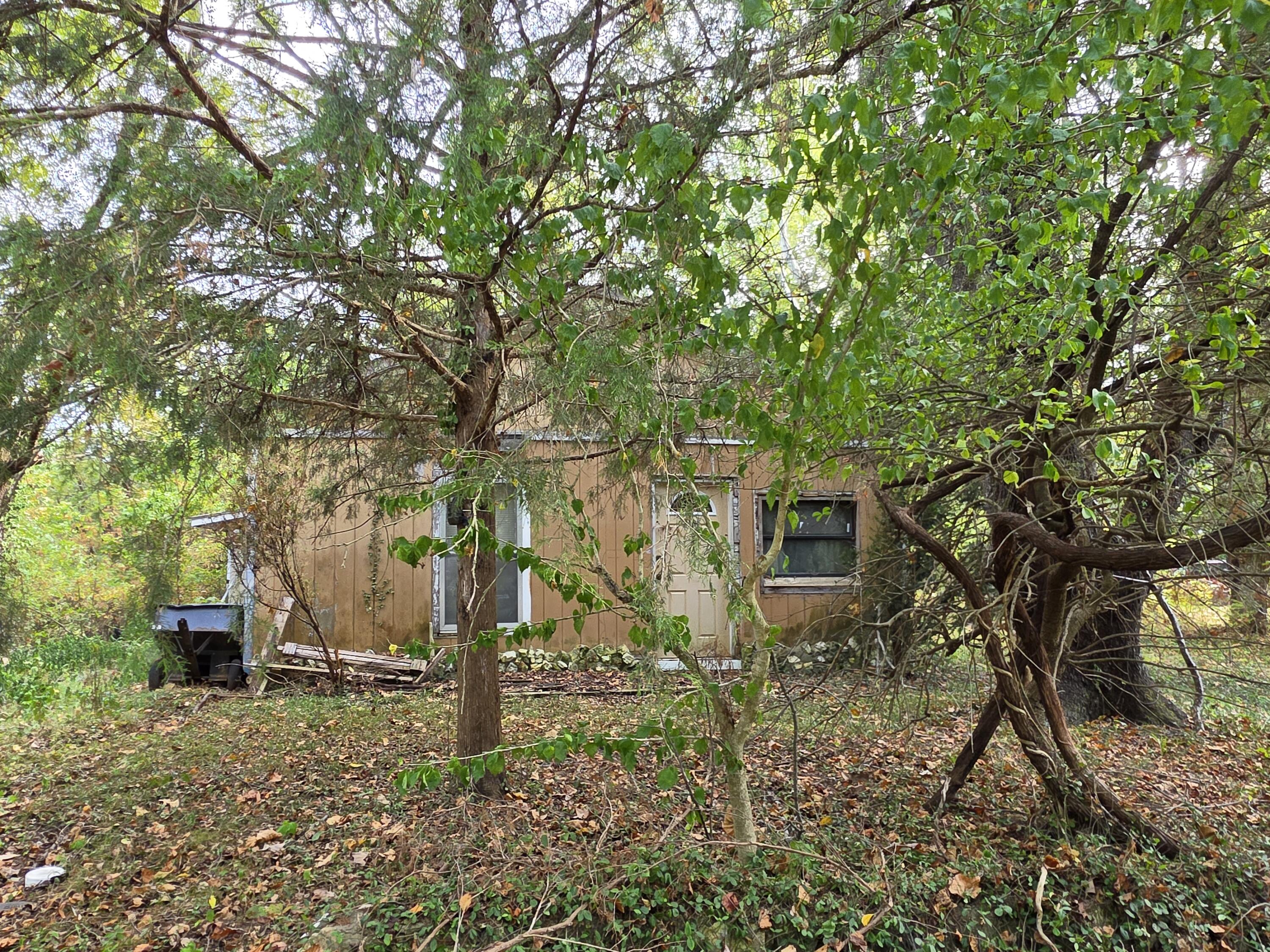 Photo 2 - Land for sale – 707  Washington Avenue  Crane, MO