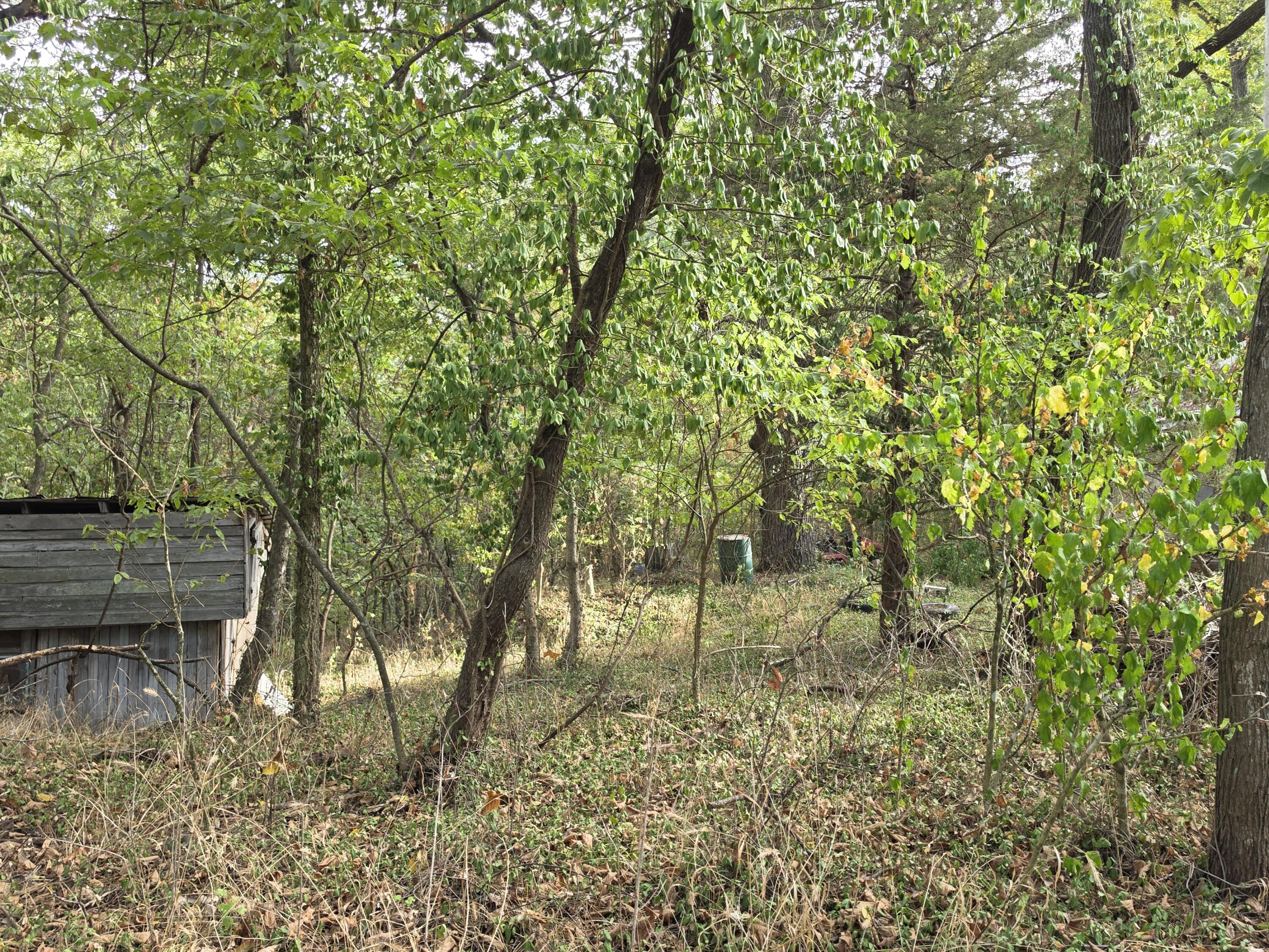 Photo 9 - Land for sale – 707  Washington Avenue  Crane, MO