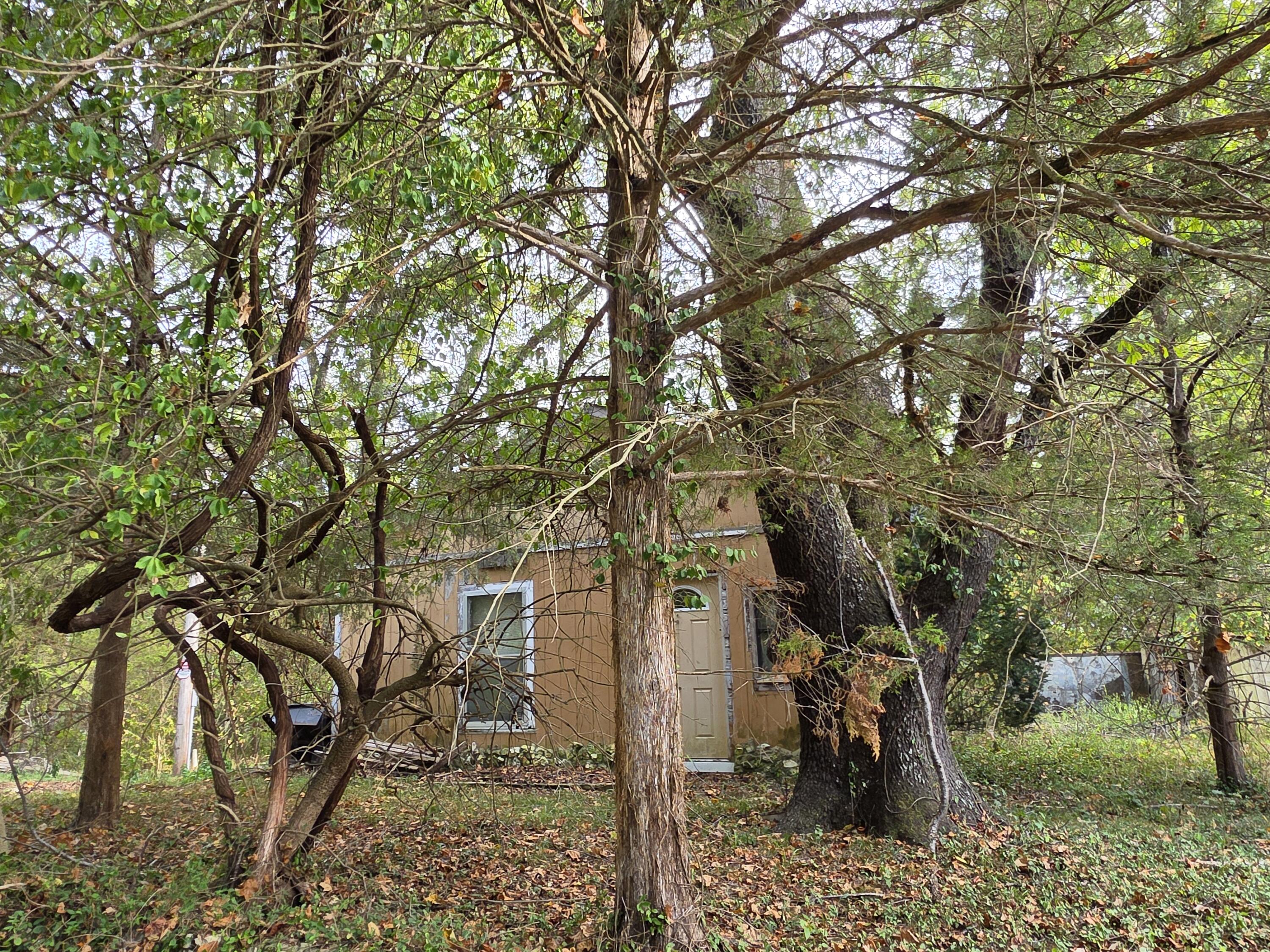 Photo 5 - Land for sale – 707  Washington Avenue  Crane, MO