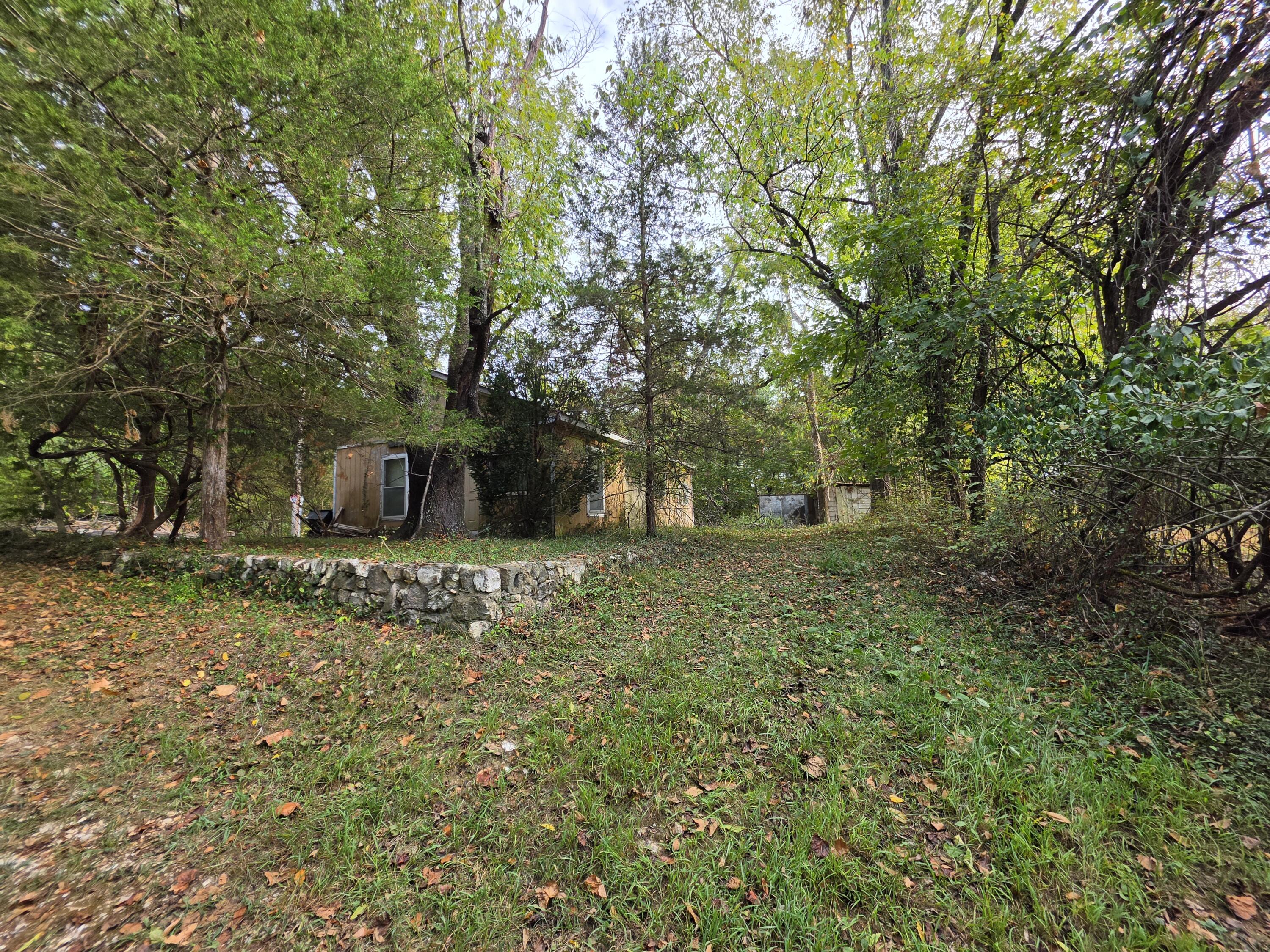 Photo 6 - Land for sale – 707  Washington Avenue  Crane, MO