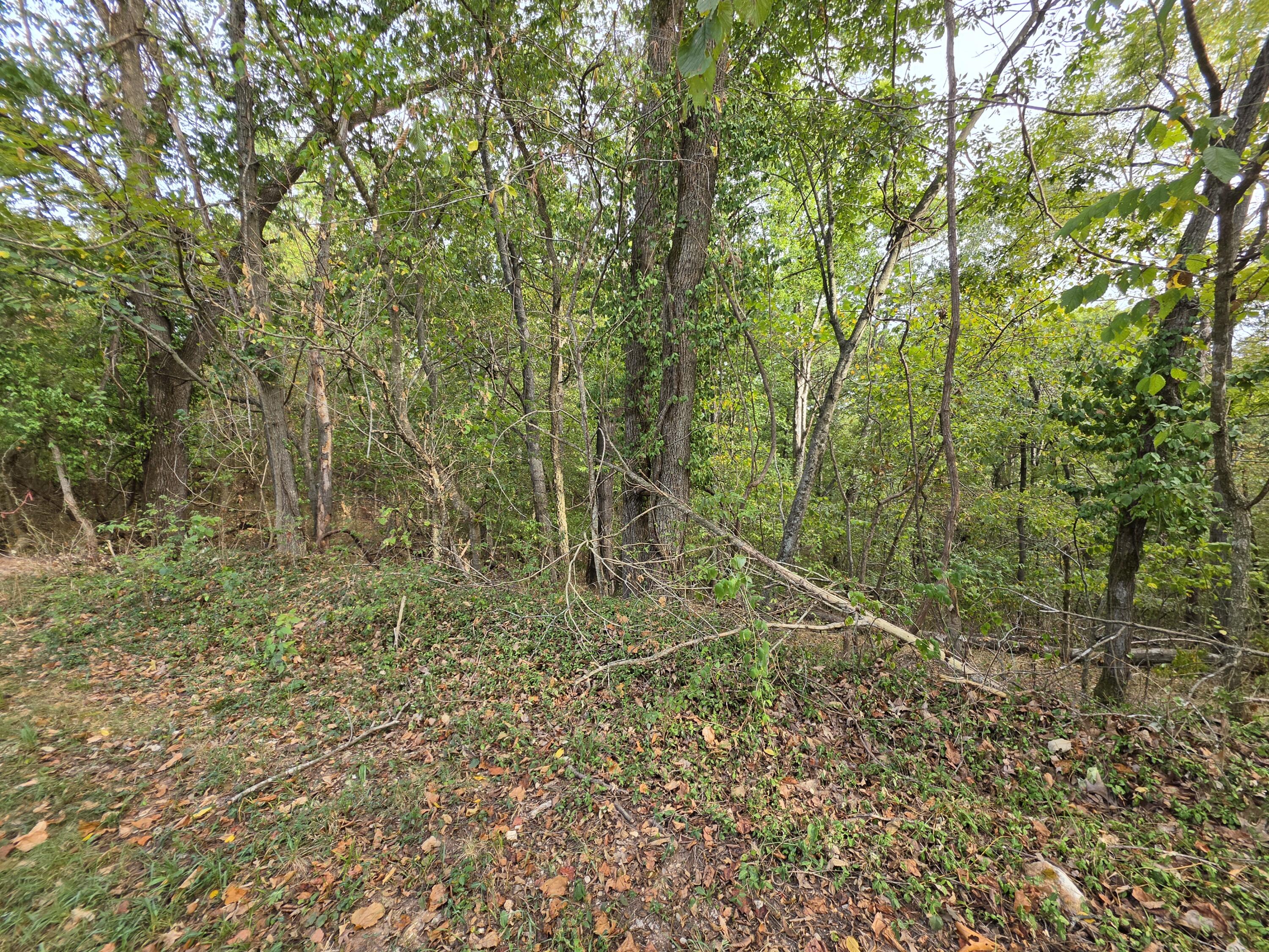 Photo 12 - Land for sale – 707  Washington Avenue  Crane, MO