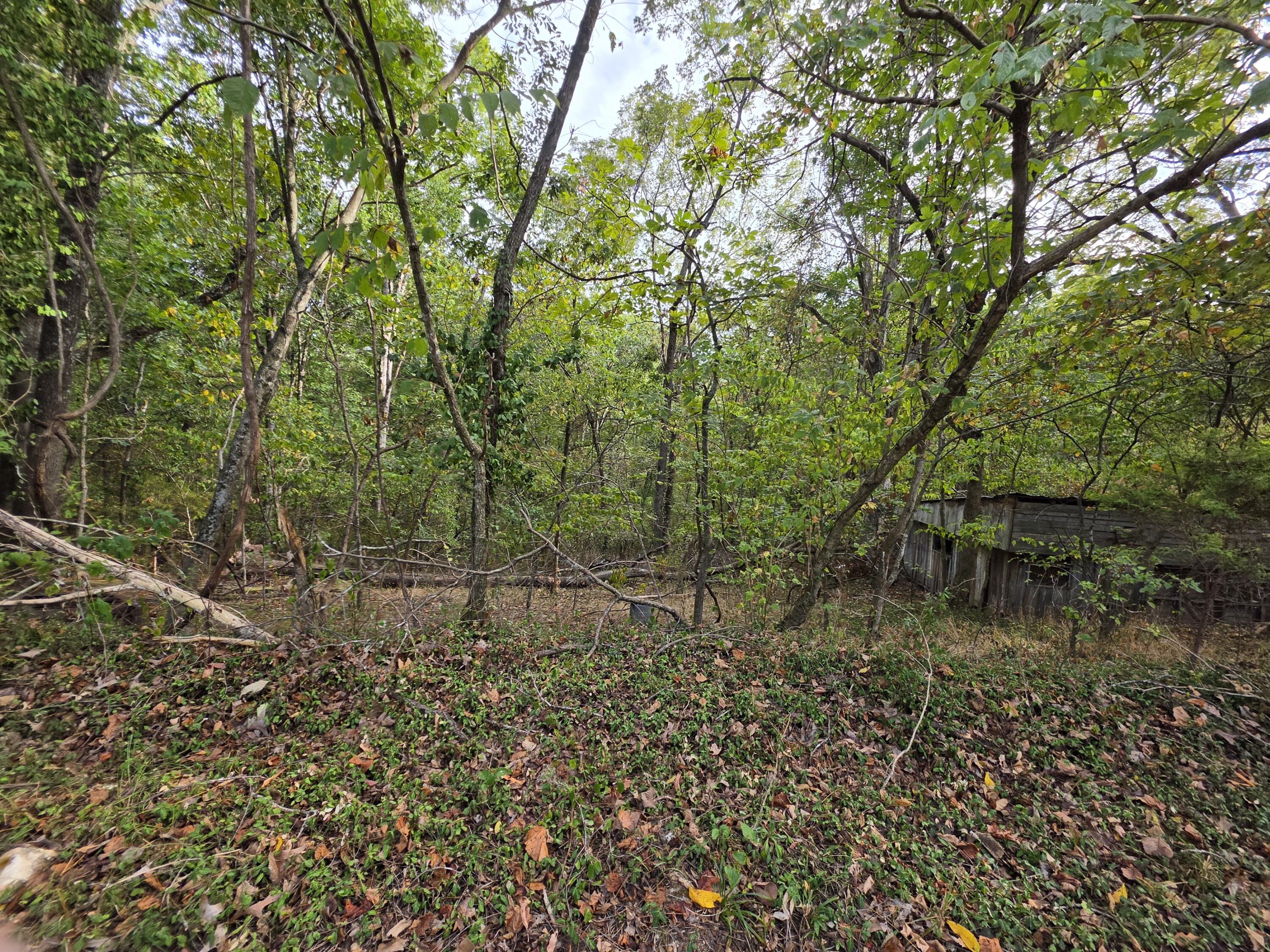 Photo 10 - Land for sale – 707  Washington Avenue  Crane, MO