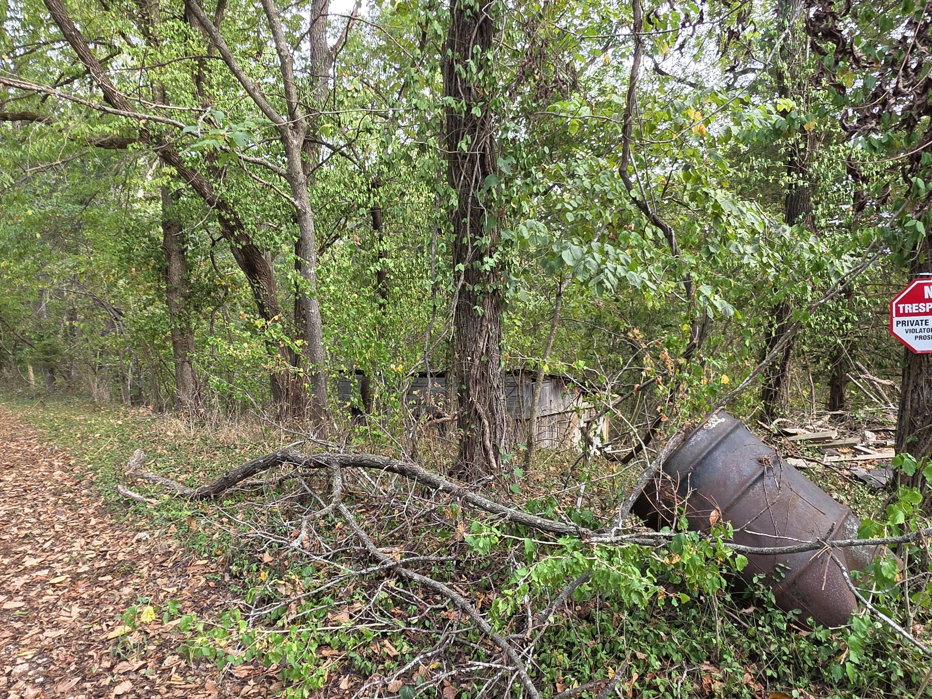 Photo 3 - Land for sale – 707  Washington Avenue  Crane, MO