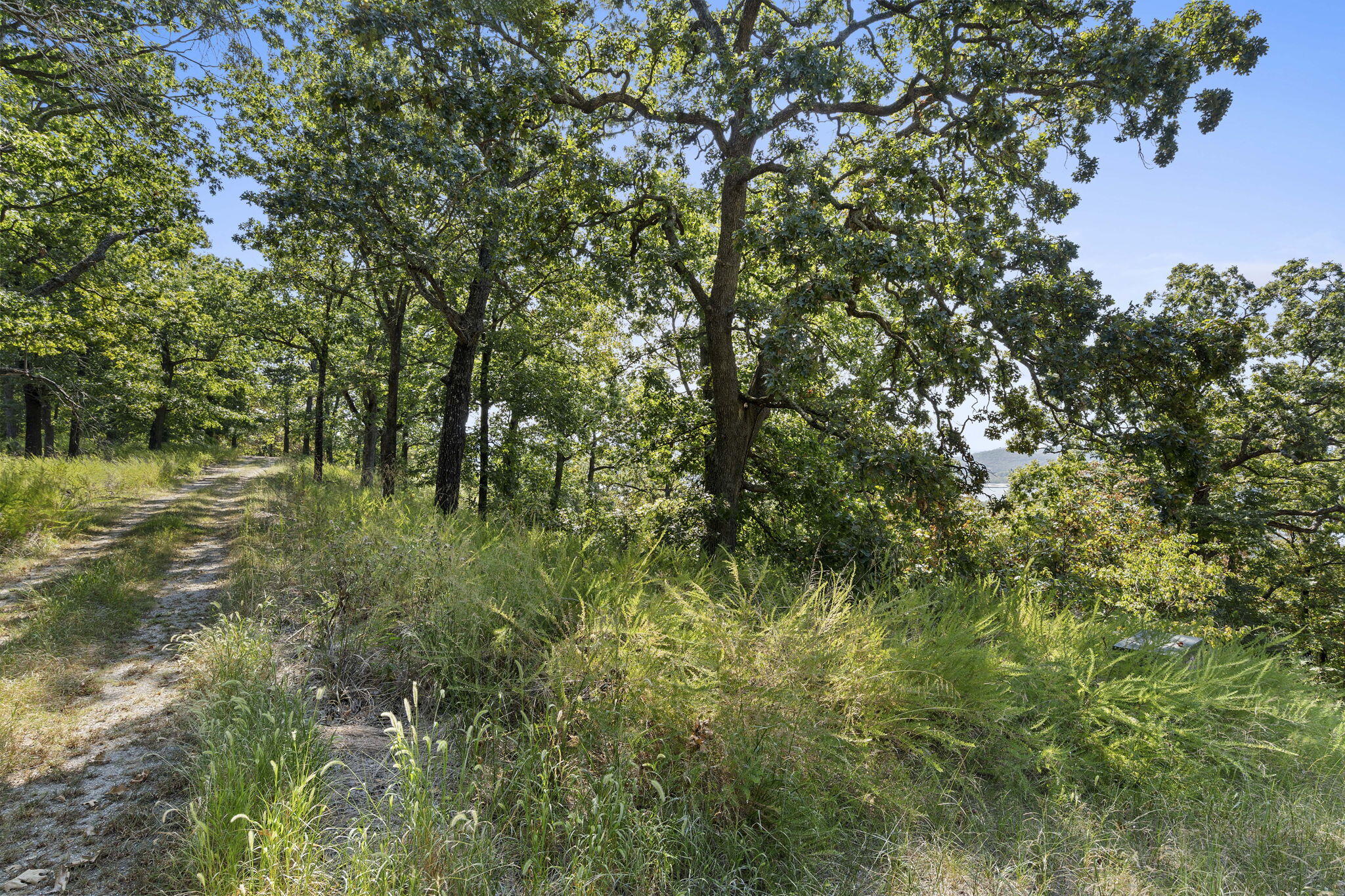 Photo 14 - Land for sale – Lot 5  Cliffside Estates Dr.   Galena, MO