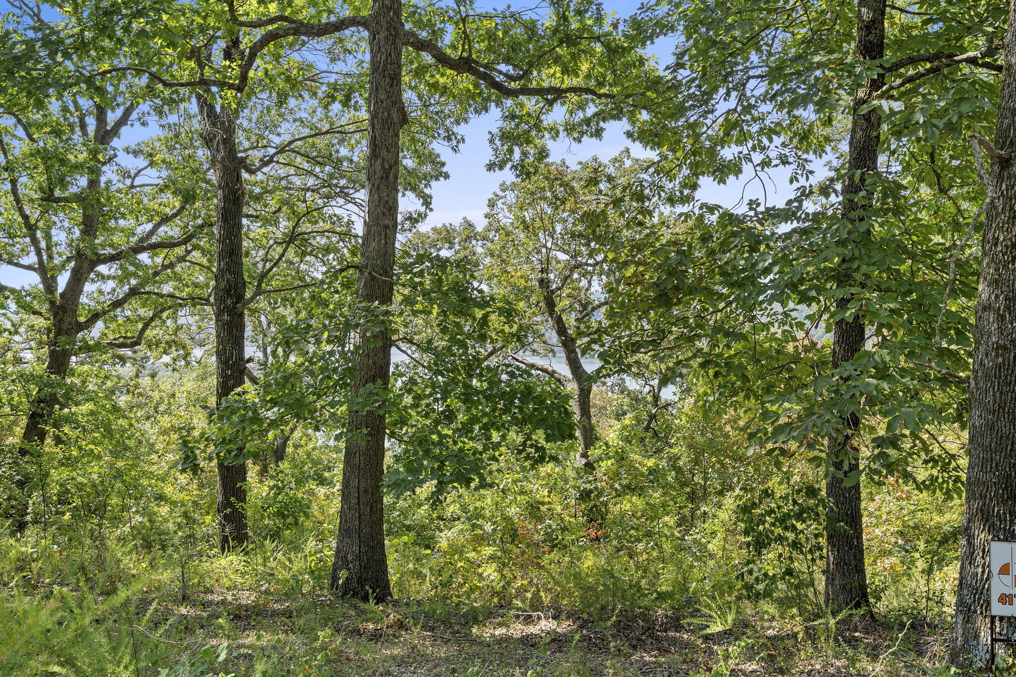 Photo 16 - Land for sale – Lot 5  Cliffside Estates Dr.   Galena, MO
