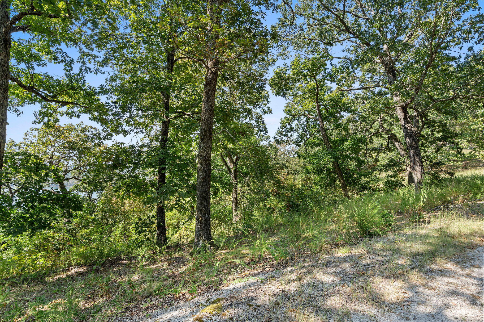 Photo 20 - Land for sale – Lot 5  Cliffside Estates Dr.   Galena, MO