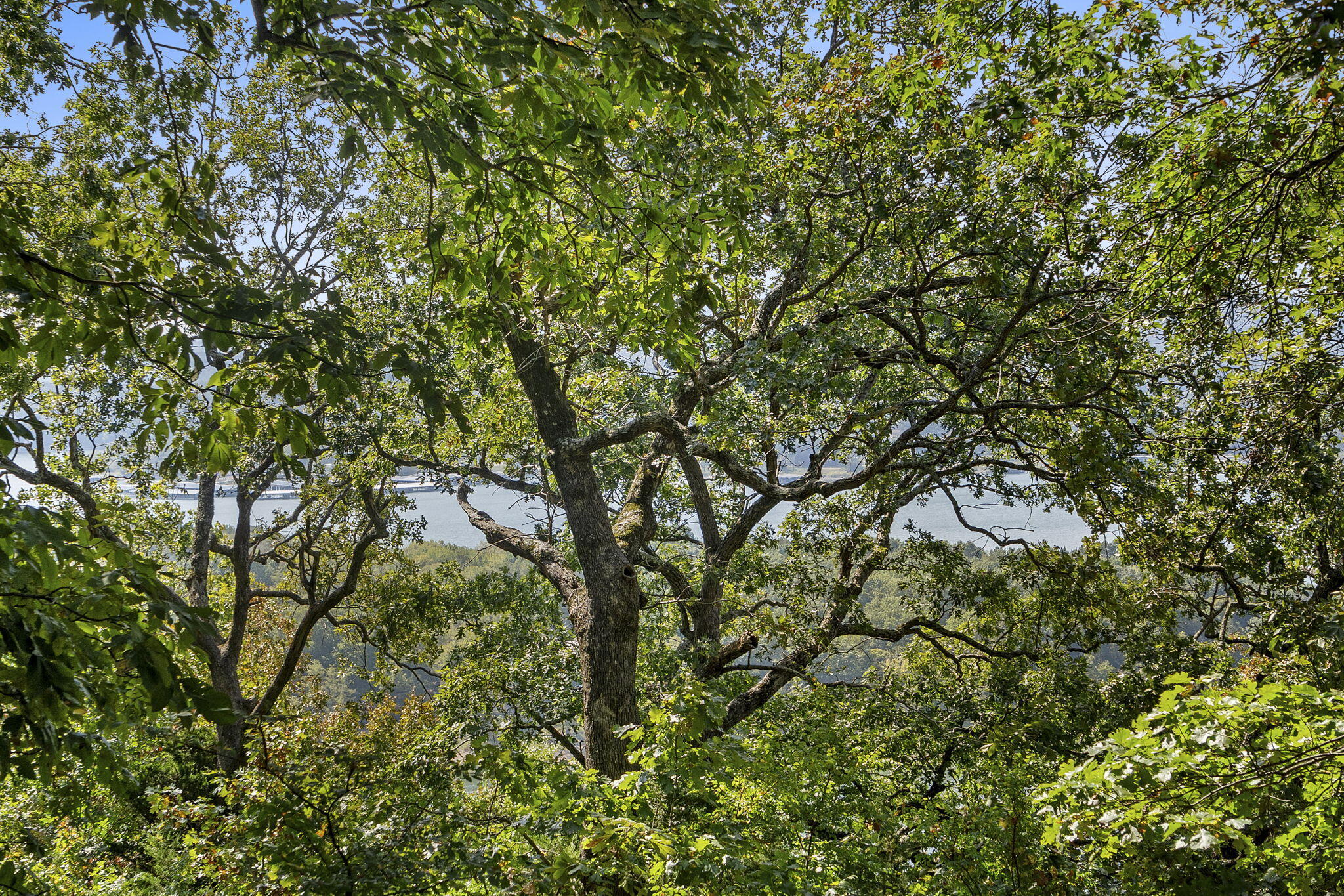 Photo 19 - Land for sale – Lot 5  Cliffside Estates Dr.   Galena, MO