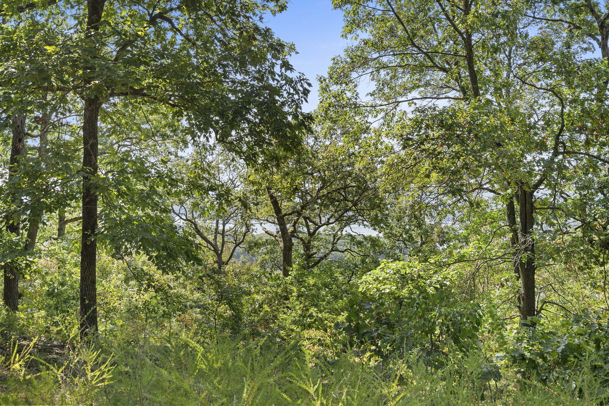 Photo 15 - Land for sale – Lot 5  Cliffside Estates Dr.   Galena, MO