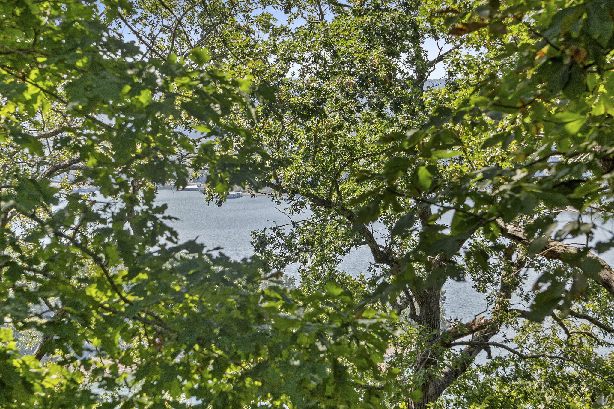 Photo 18 - Land for sale – Lot 5  Cliffside Estates Dr.   Galena, MO