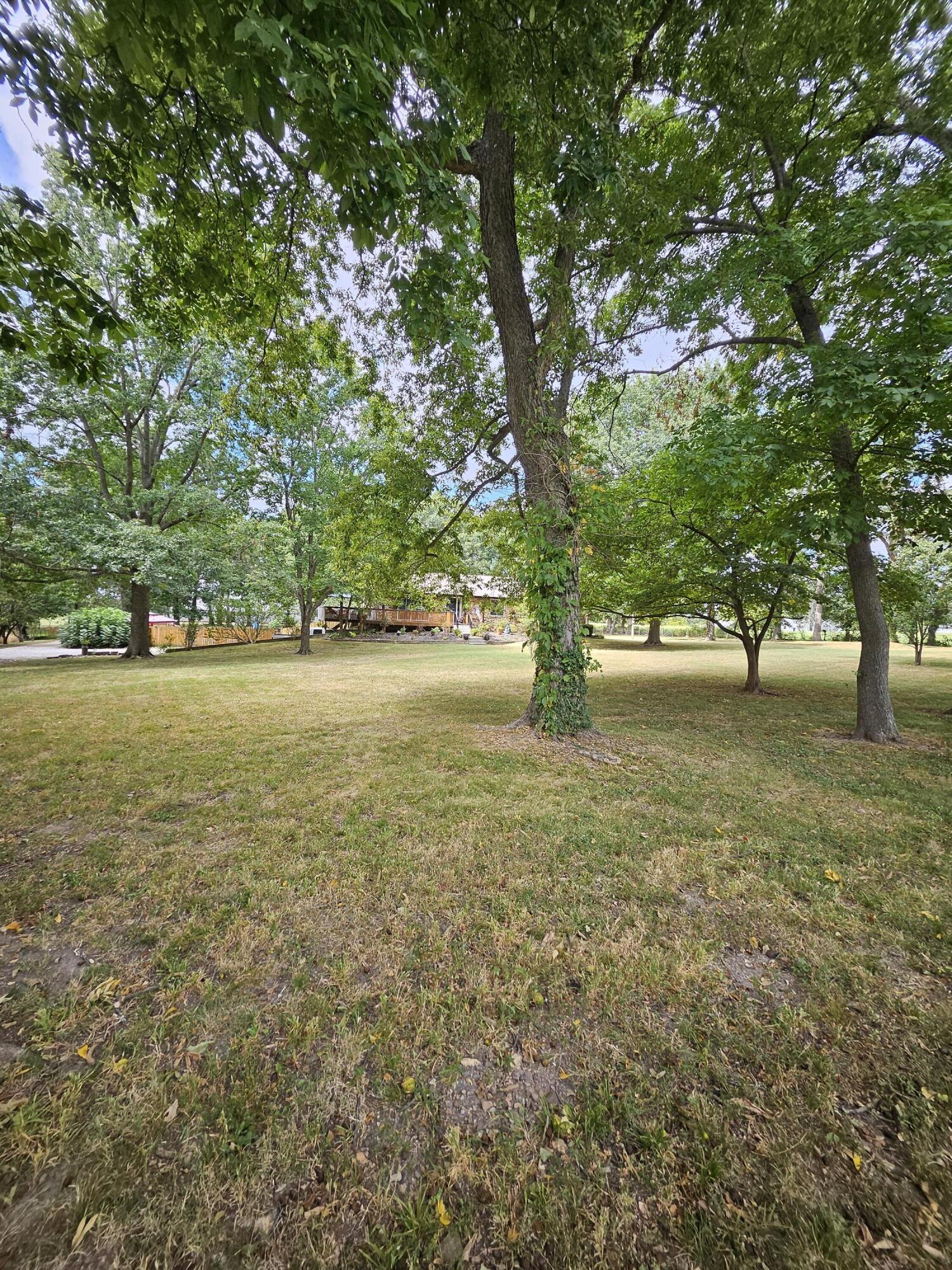 Photo 6 - Residential for sale – 6333 S State Highway 125   Rogersville, MO