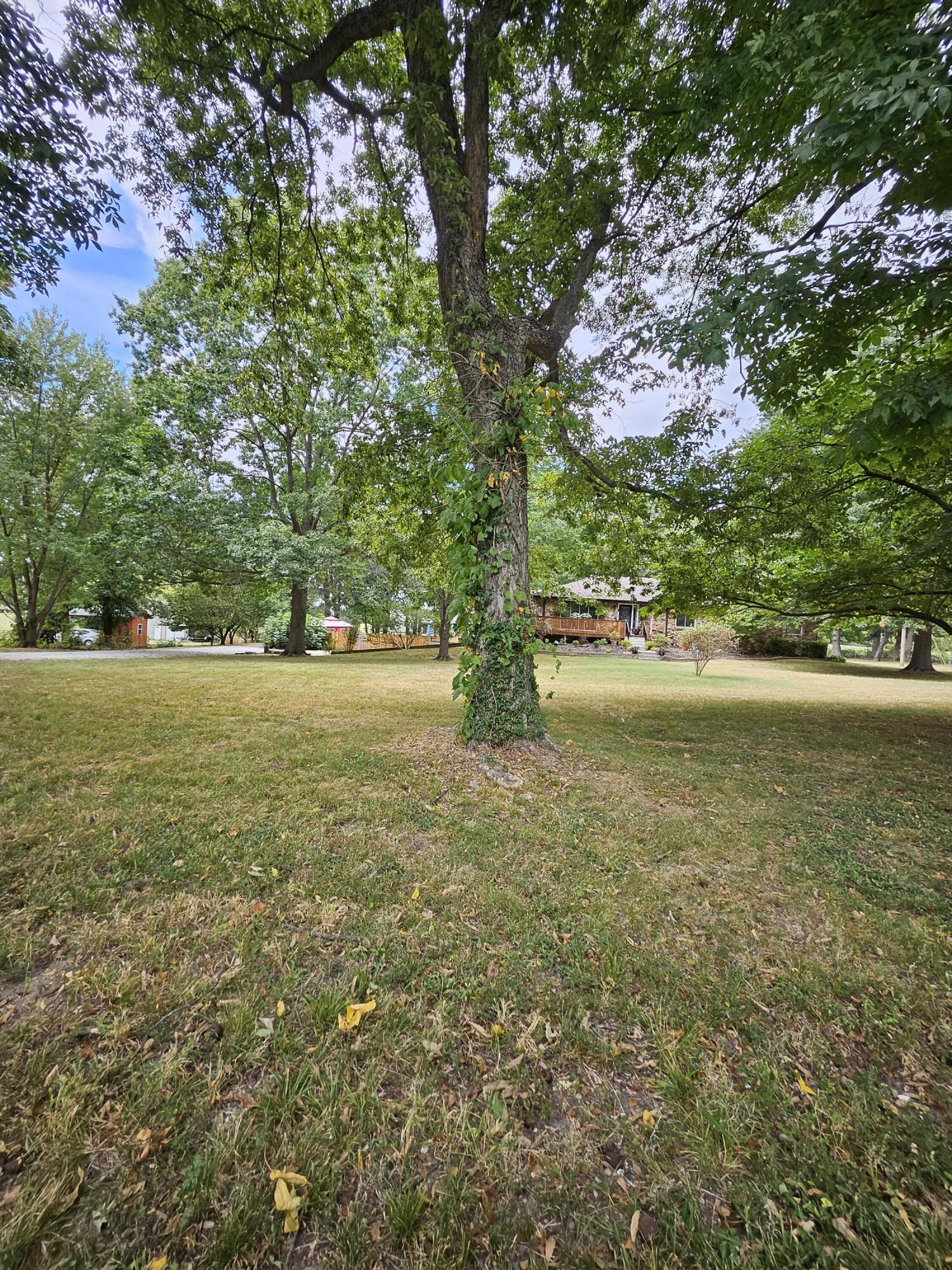 Photo 2 - Residential for sale – 6333 S State Highway 125   Rogersville, MO