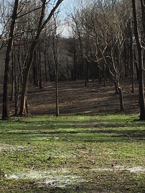 Photo 2 - Land for sale – 2484 W Landers Road  Nixa, MO