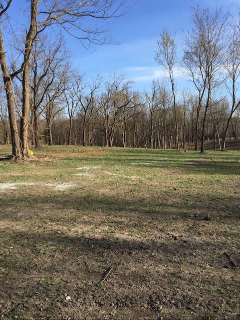 Photo 4 - Land for sale – 2484 W Landers Road  Nixa, MO