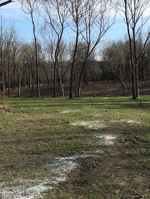 Photo 3 - Land for sale – 2484 W Landers Road  Nixa, MO