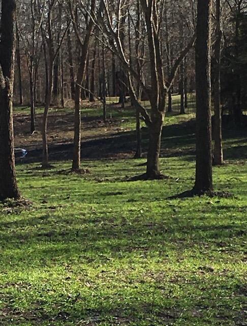 Land for sale – 2484 W Landers Road  Nixa, MO