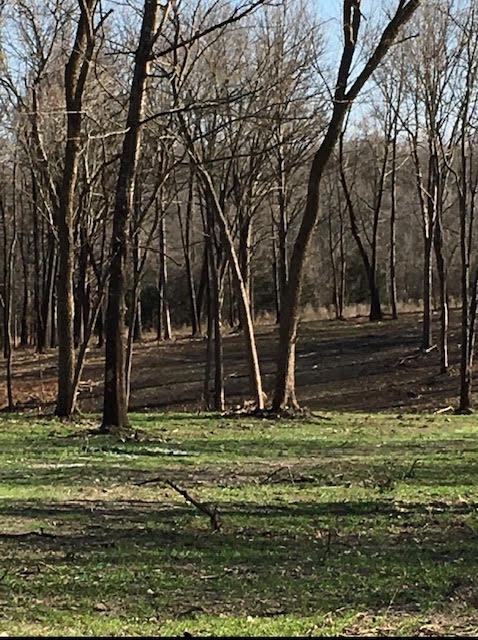 Photo 5 - Land for sale – 2484 W Landers Road  Nixa, MO