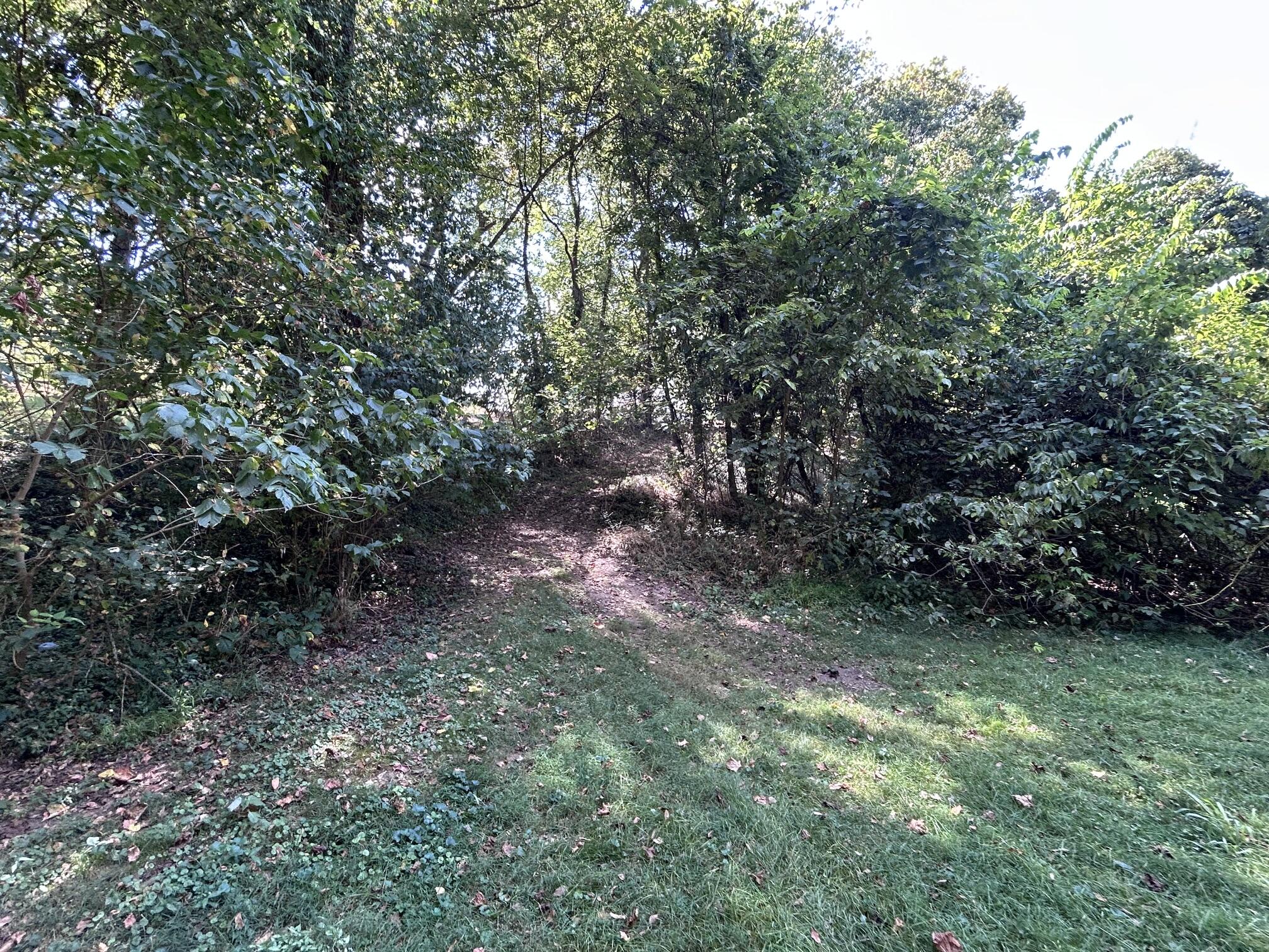 Photo 38 - Residential for sale – 311 E Jackson Street  Ozark, MO