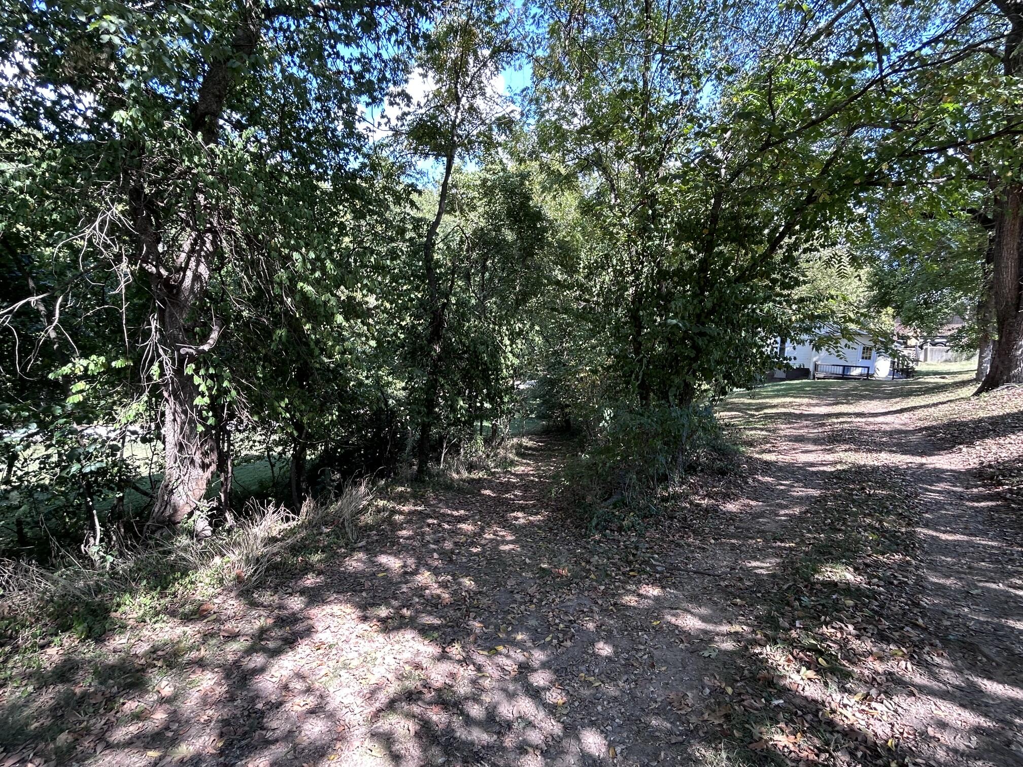 Photo 39 - Residential for sale – 311 E Jackson Street  Ozark, MO
