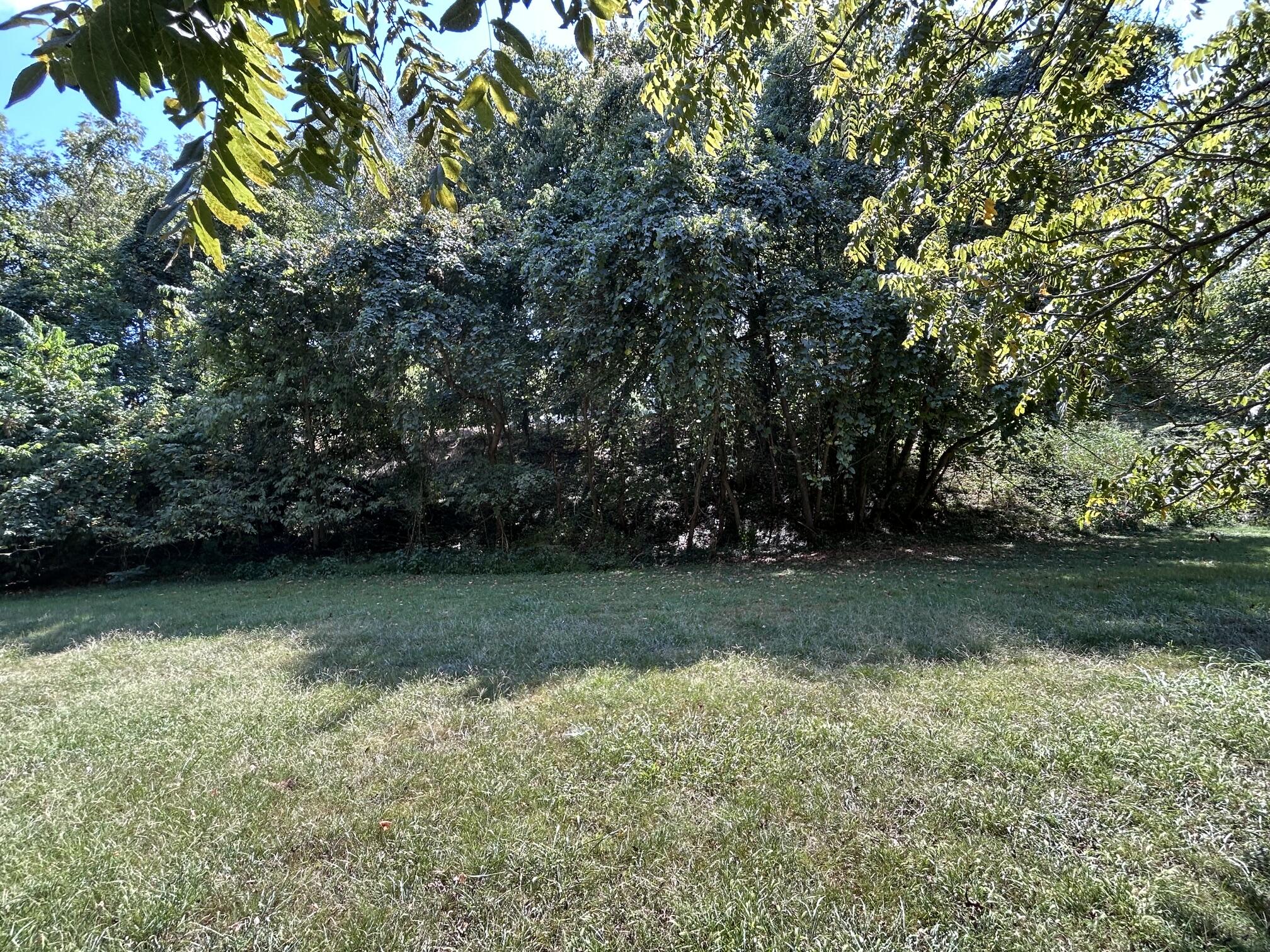 Photo 41 - Residential for sale – 311 E Jackson Street  Ozark, MO