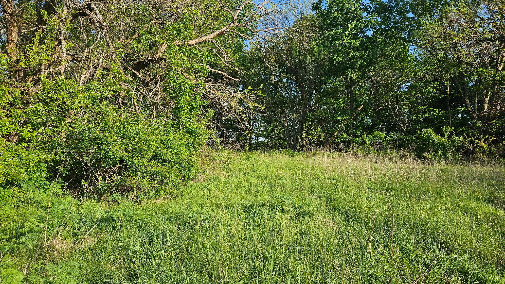 Photo 9 - Land for sale – Lot 13 -  1174 Hunter Lane  Ash Grove, MO