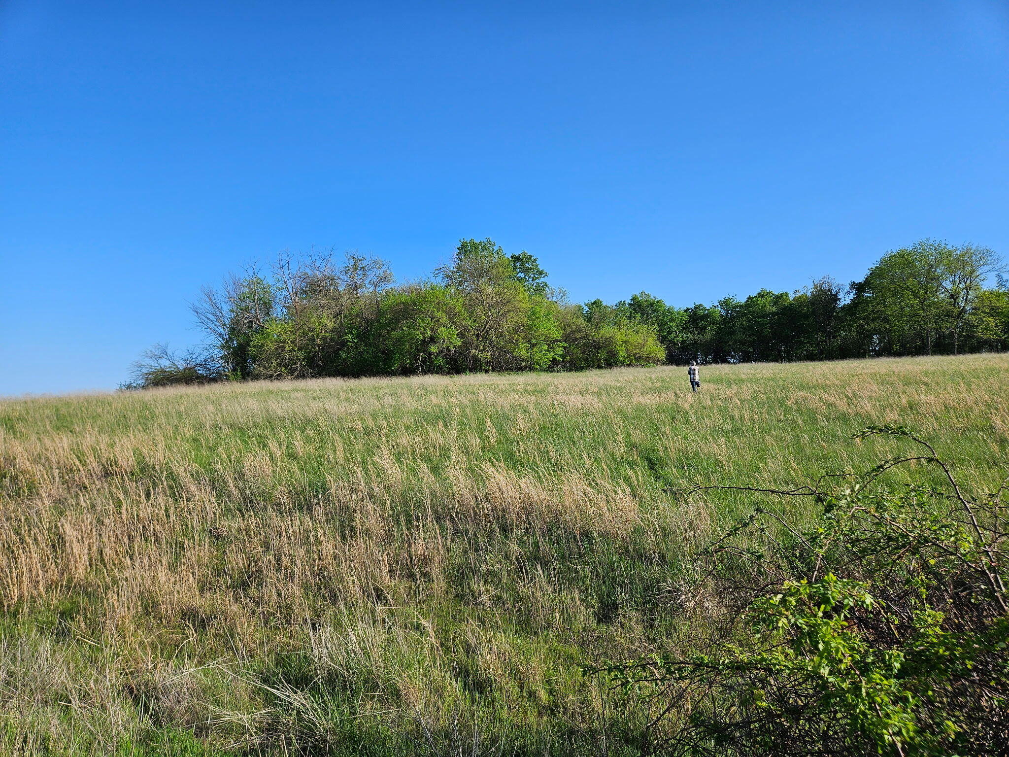 Photo 5 - Land for sale – Lot 13 -  1174 Hunter Lane  Ash Grove, MO
