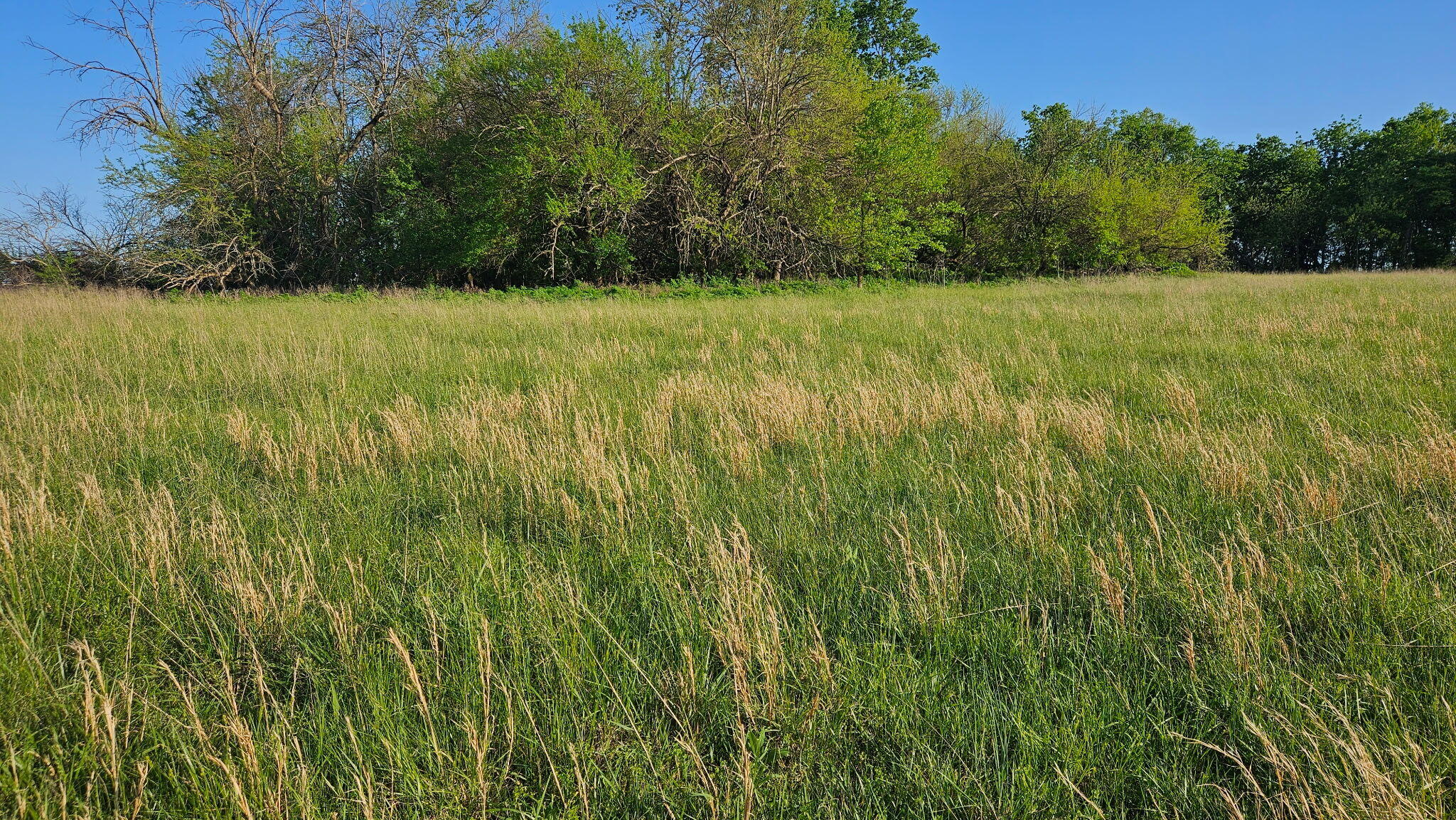 Photo 6 - Land for sale – Lot 13 -  1174 Hunter Lane  Ash Grove, MO