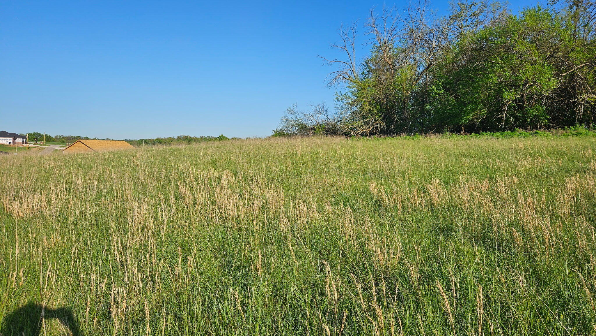 Photo 7 - Land for sale – Lot 13 -  1174 Hunter Lane  Ash Grove, MO