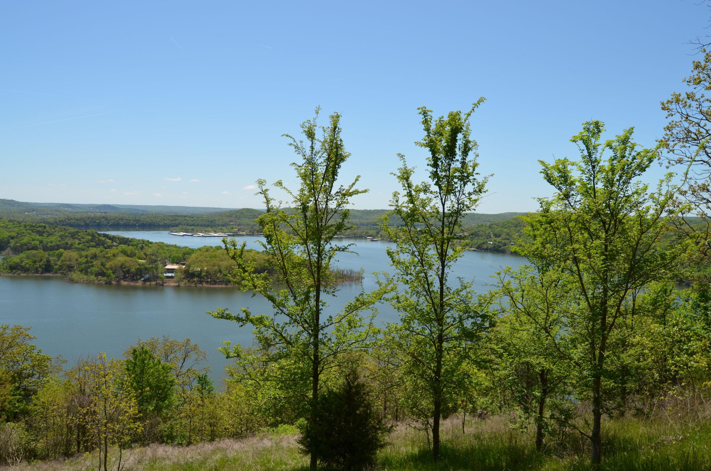 Photo 9 - Land for sale – 311  Cliffside Drive  Galena, MO