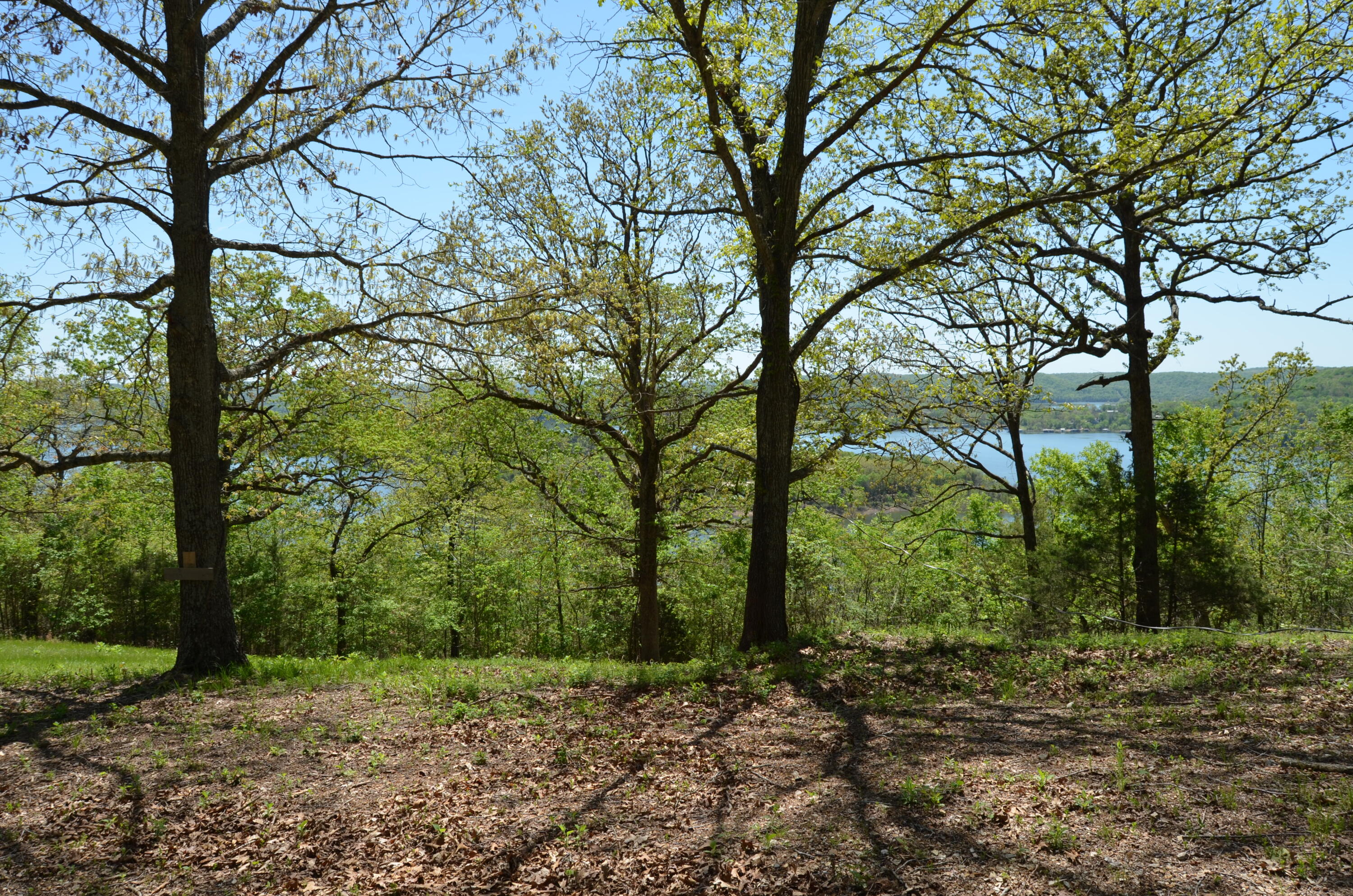 Photo 14 - Land for sale – 311  Cliffside Drive  Galena, MO