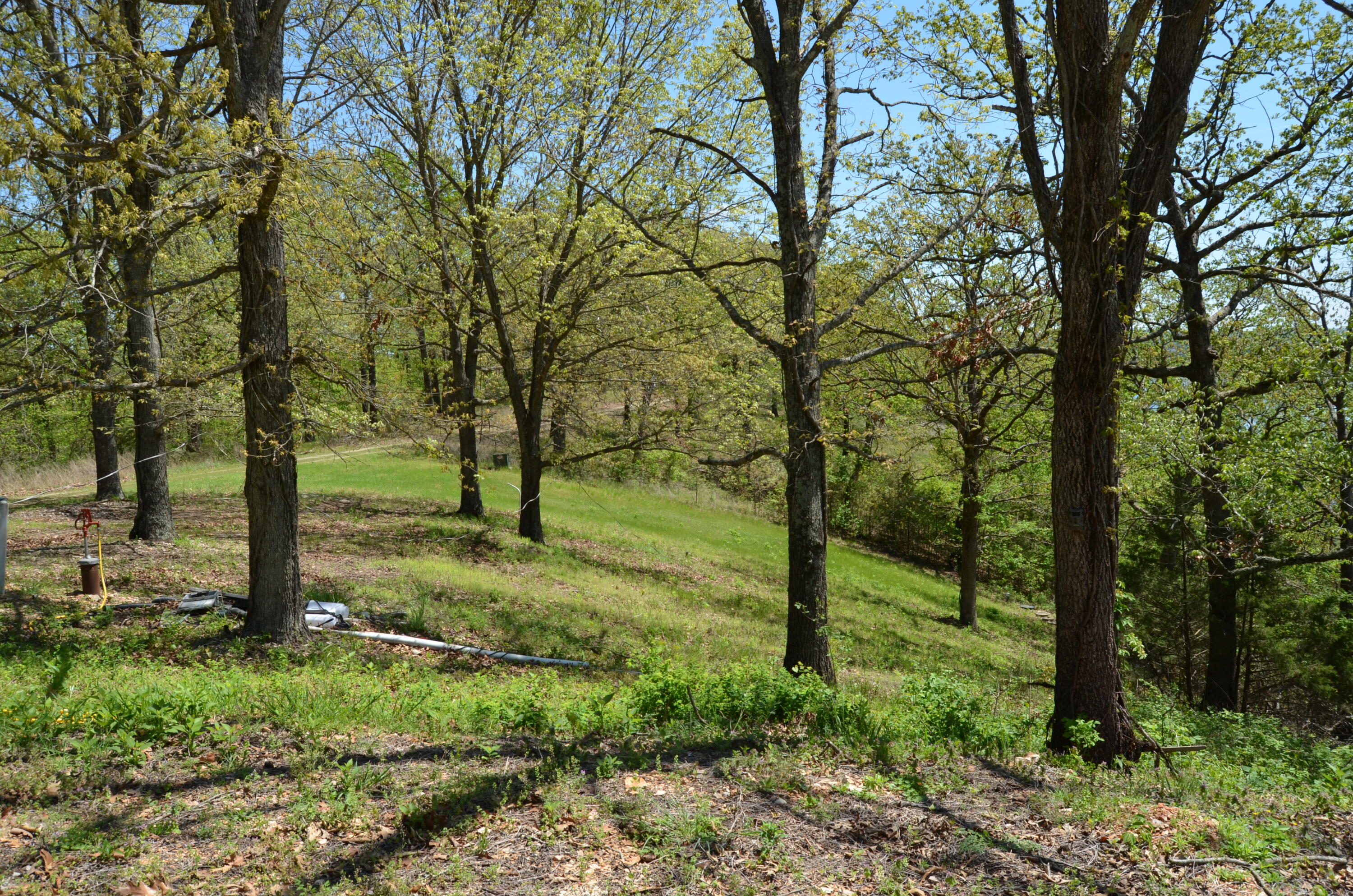 Photo 5 - Land for sale – 311  Cliffside Drive  Galena, MO