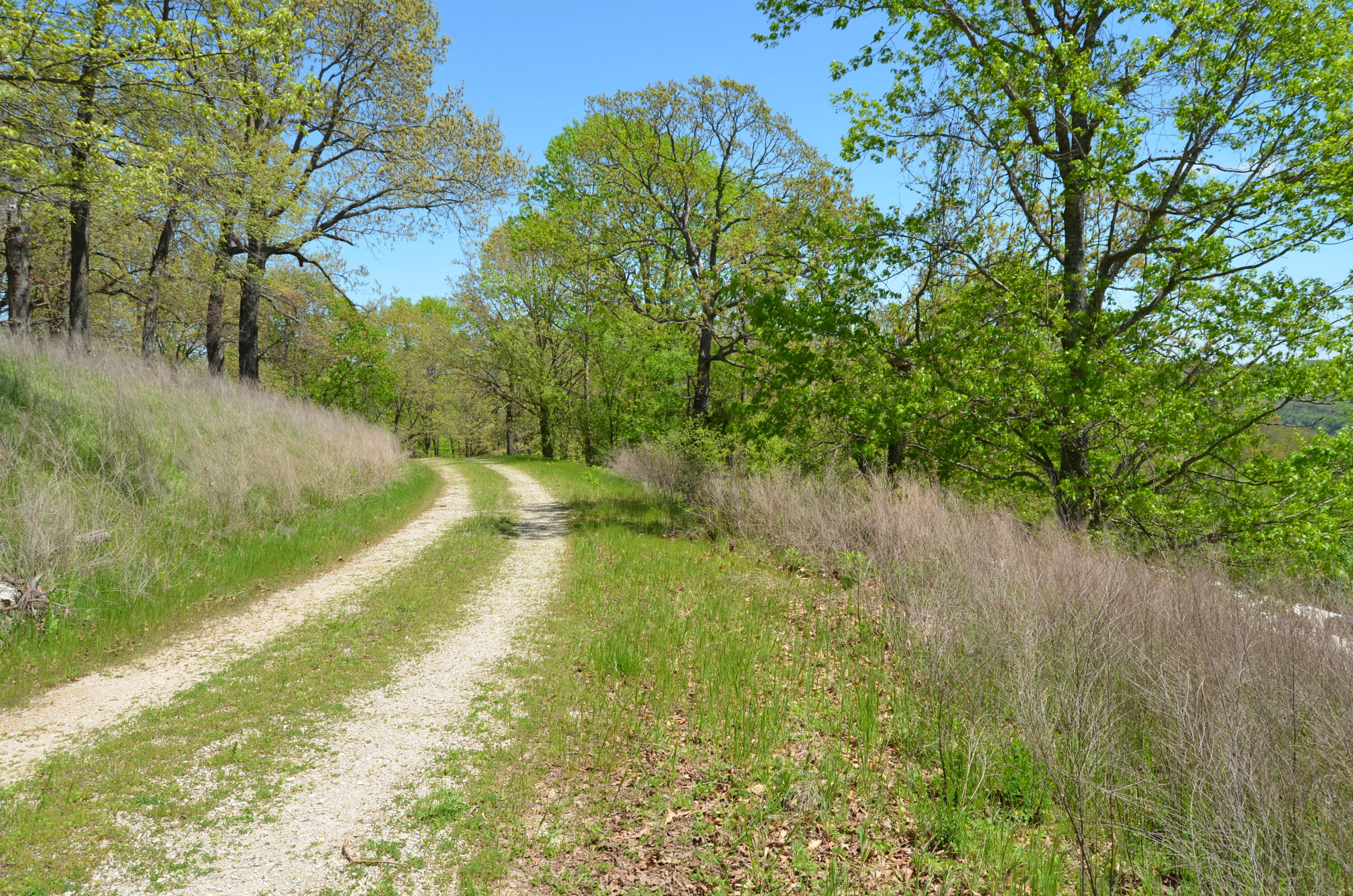 Photo 26 - Land for sale – 311  Cliffside Drive  Galena, MO