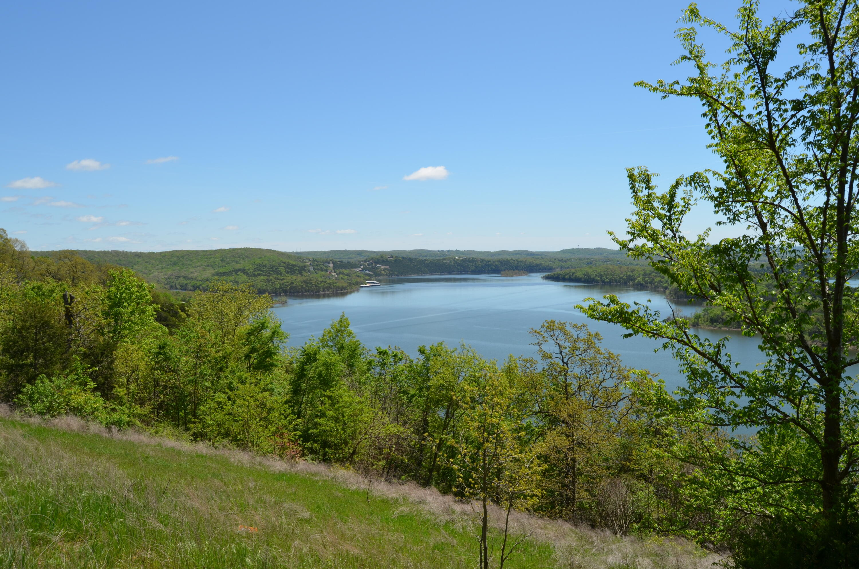 Photo 10 - Land for sale – 311  Cliffside Drive  Galena, MO