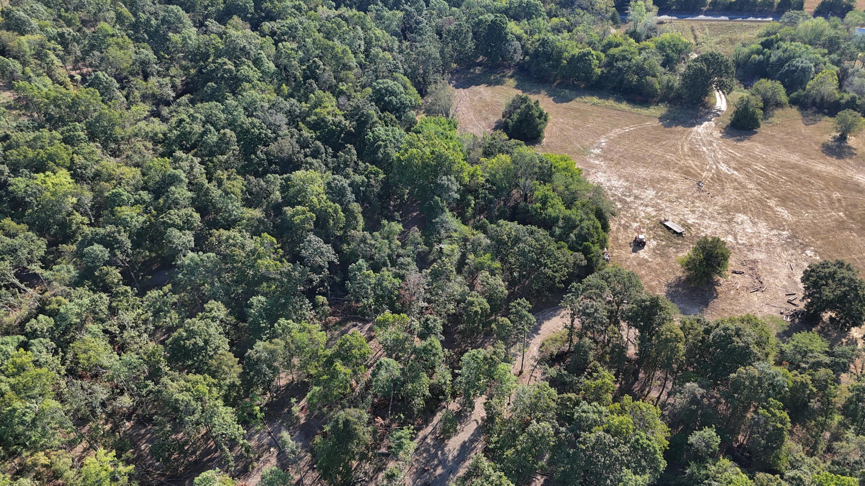 Photo 17 - Land for sale – 000  State Highway Z   Hartville, MO