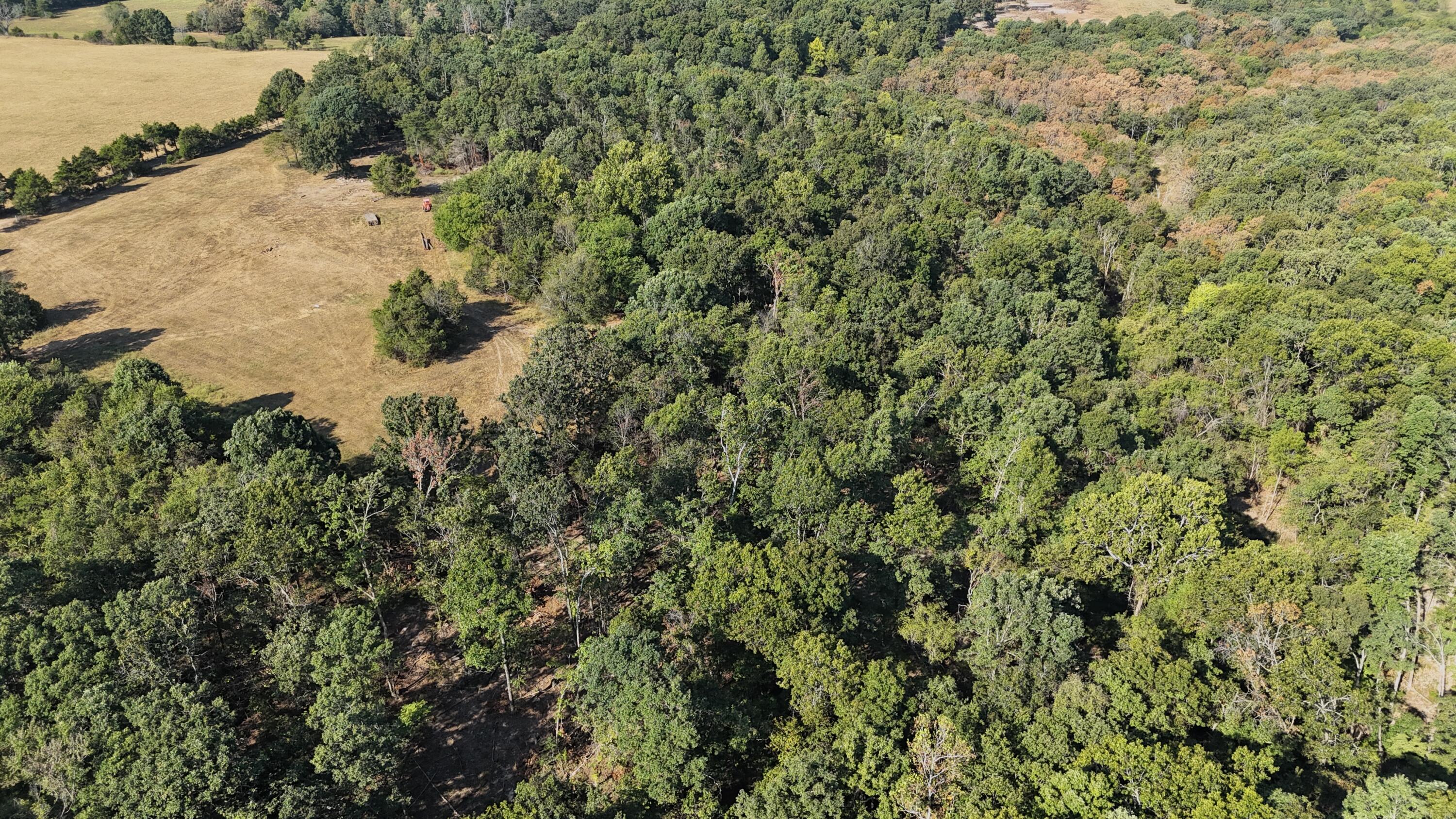 Photo 14 - Land for sale – 000  State Highway Z   Hartville, MO