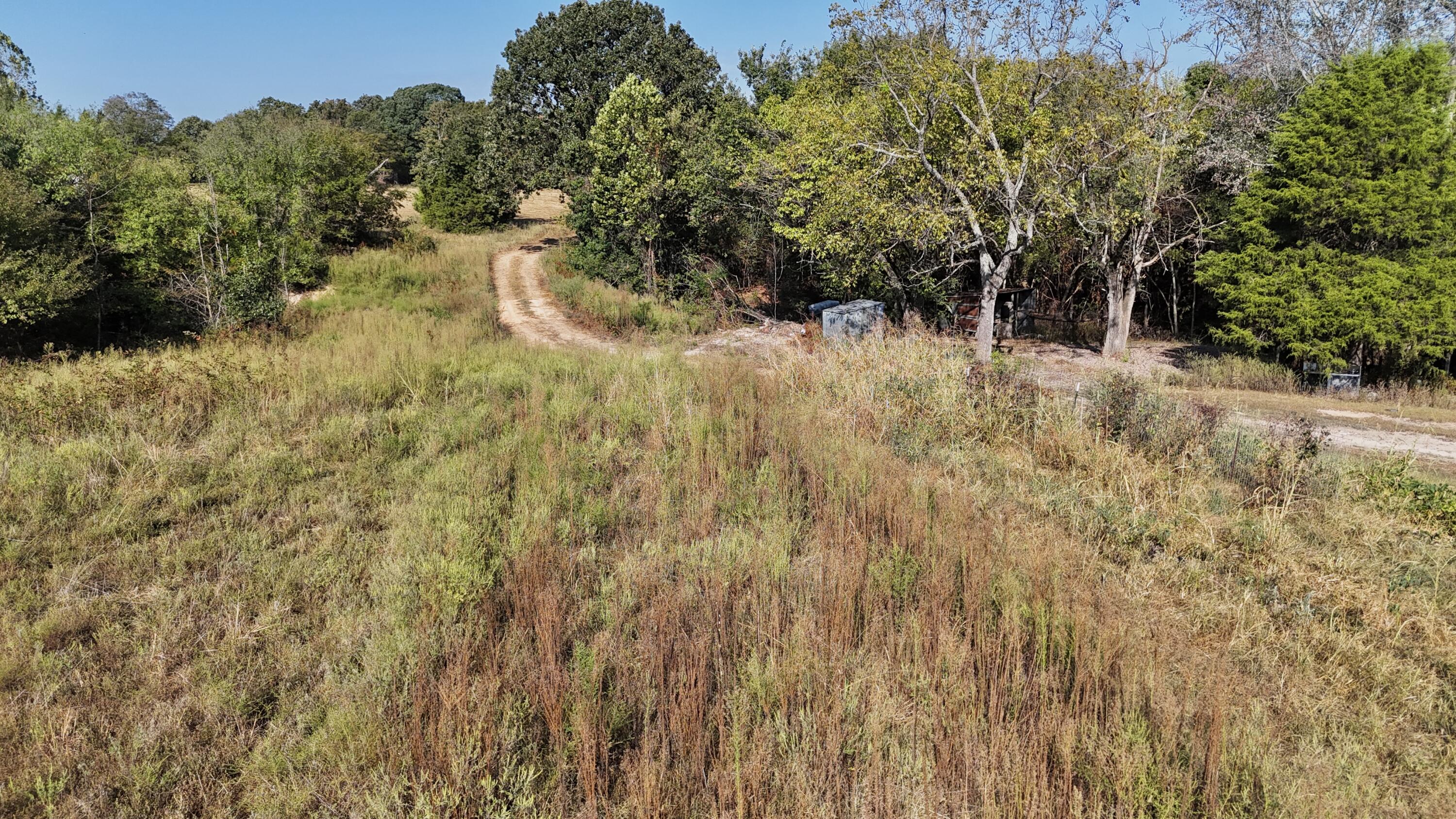 Photo 2 - Land for sale – 000  State Highway Z   Hartville, MO