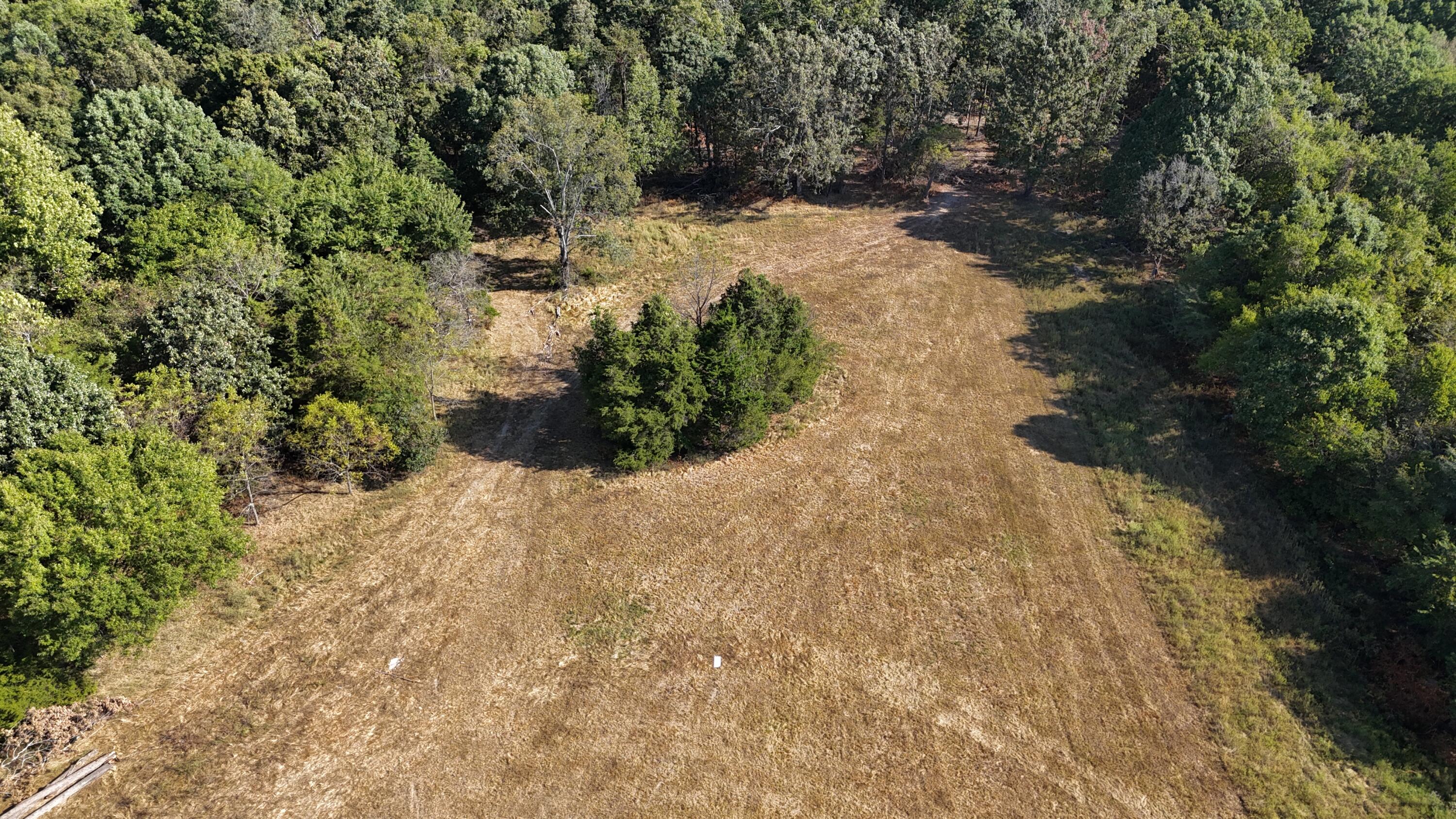 Photo 3 - Land for sale – 000  State Highway Z   Hartville, MO