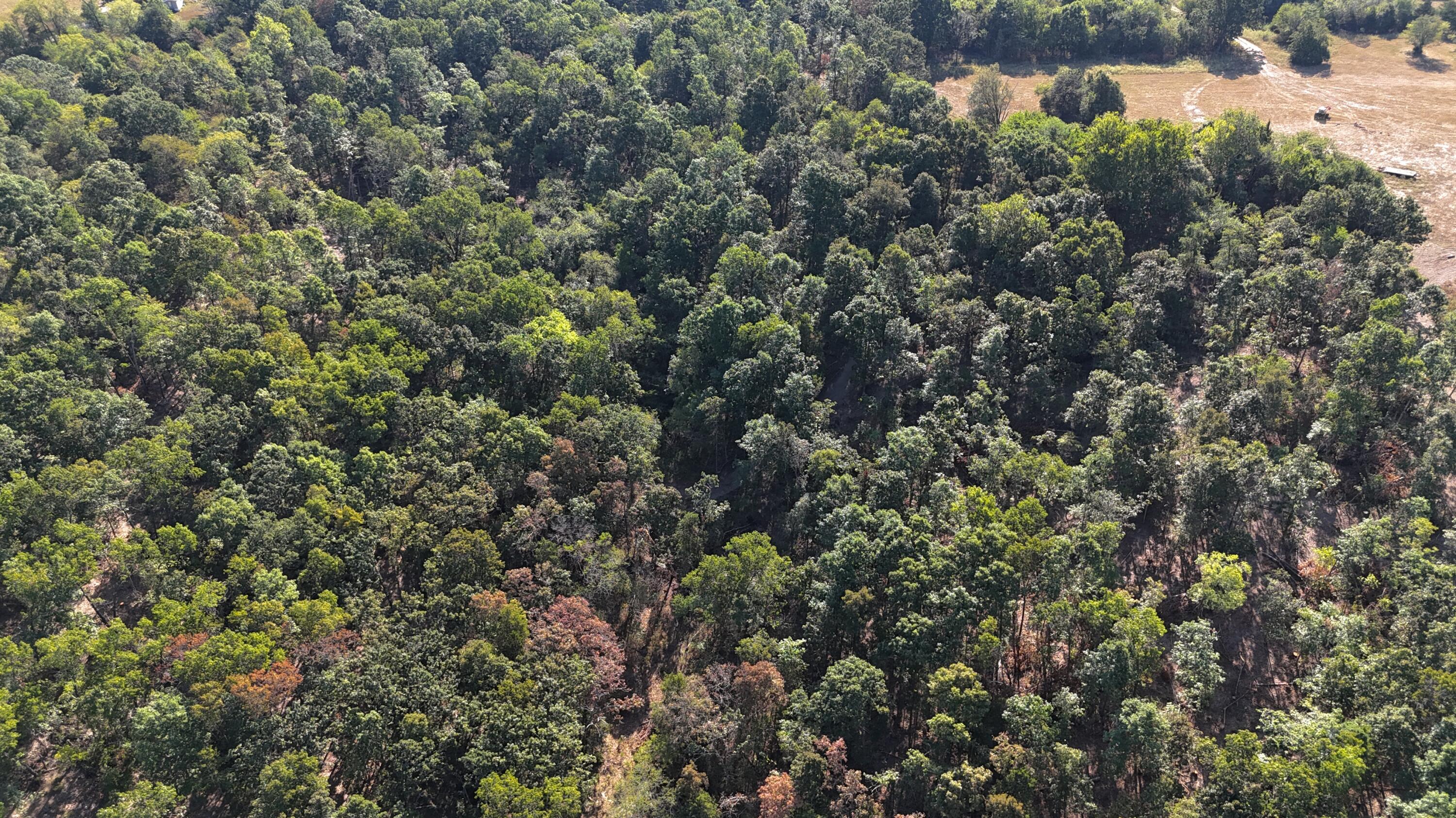 Photo 15 - Land for sale – 000  State Highway Z   Hartville, MO