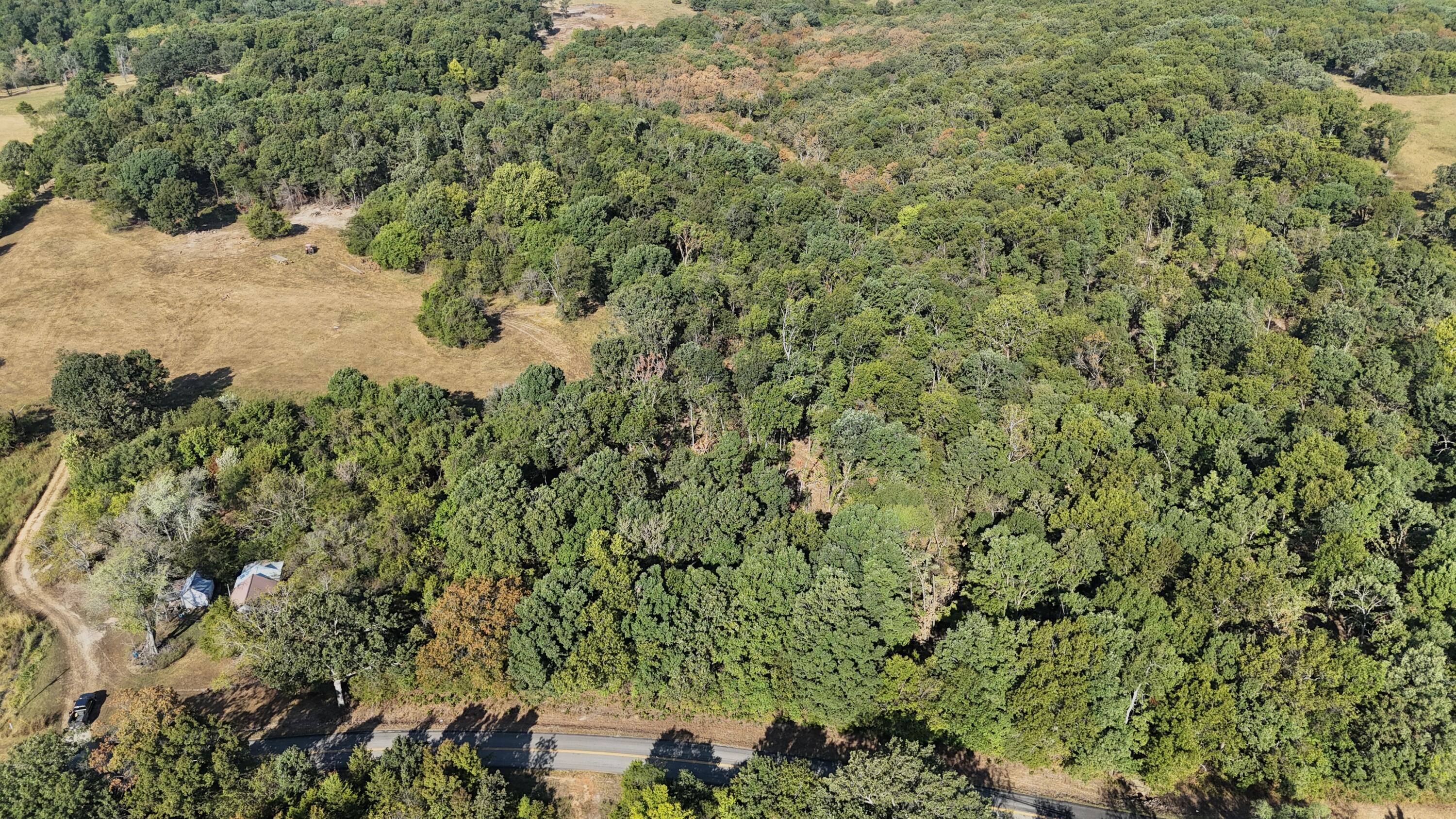 Land for sale – 000  State Highway Z   Hartville, MO