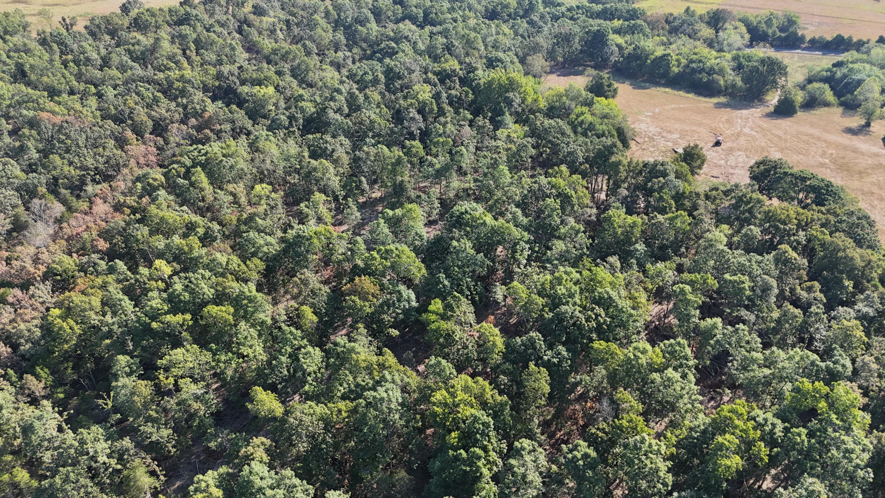 Photo 12 - Land for sale – 000  State Highway Z   Hartville, MO