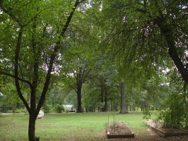 Photo 21 - Residential for sale – 6493  County Road 8640   West Plains, MO