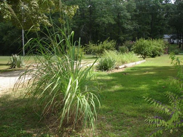 Photo 17 - Residential for sale – 6493  County Road 8640   West Plains, MO
