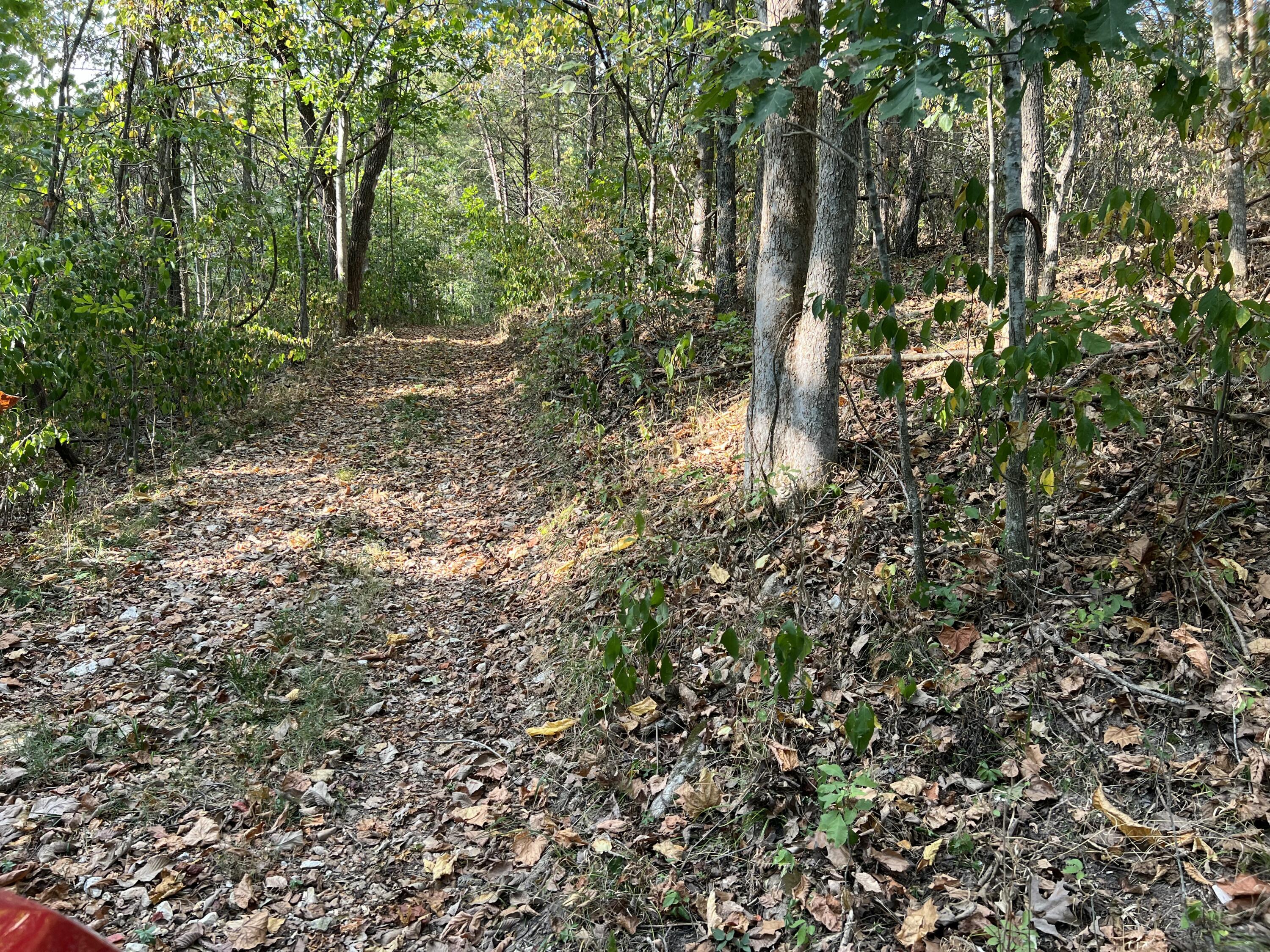 Photo 14 - Land for sale – 22652  River View Drive  Richland, MO