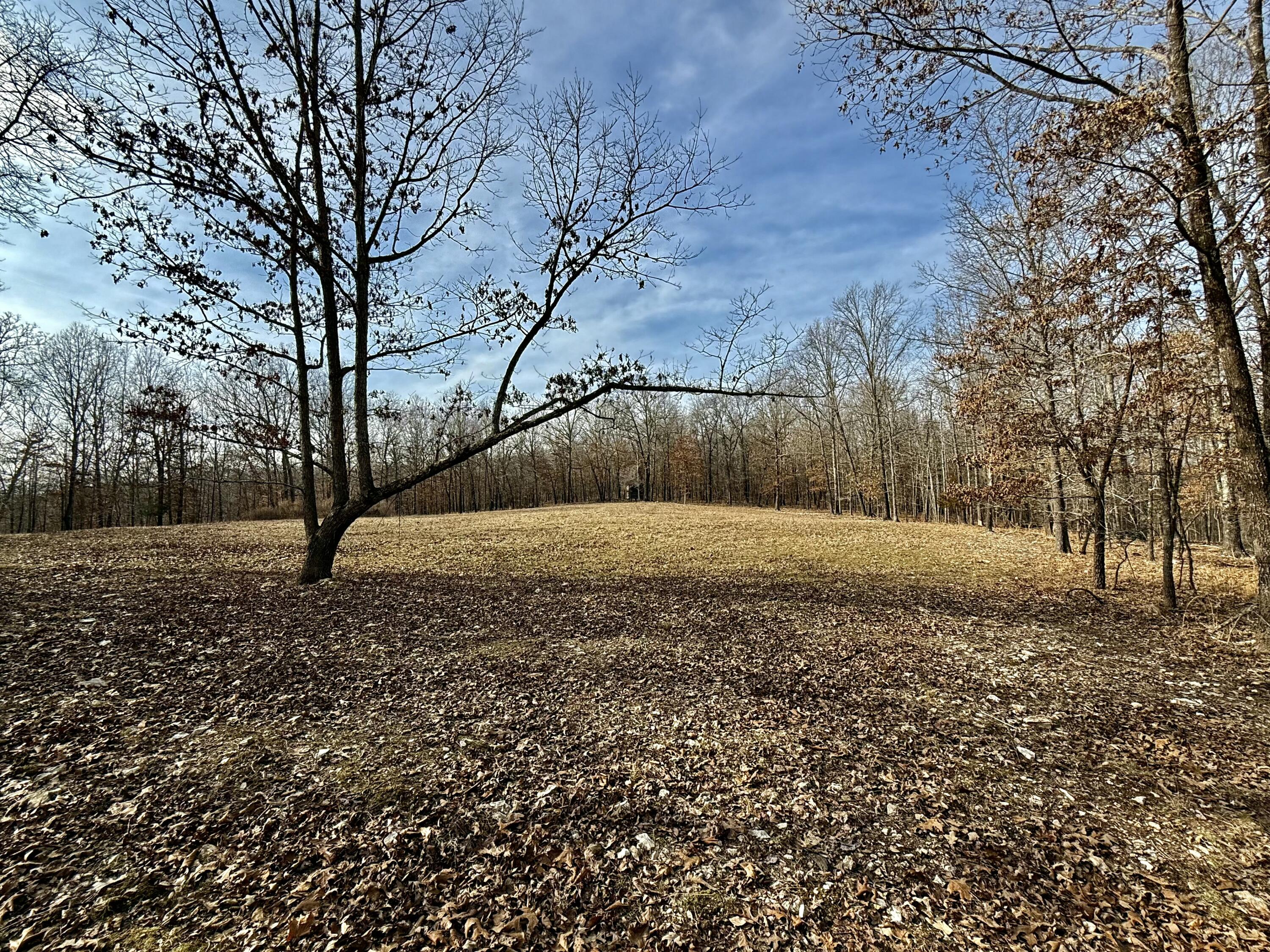 Photo 12 - Land for sale – 2112  County Road 348   Thayer, MO