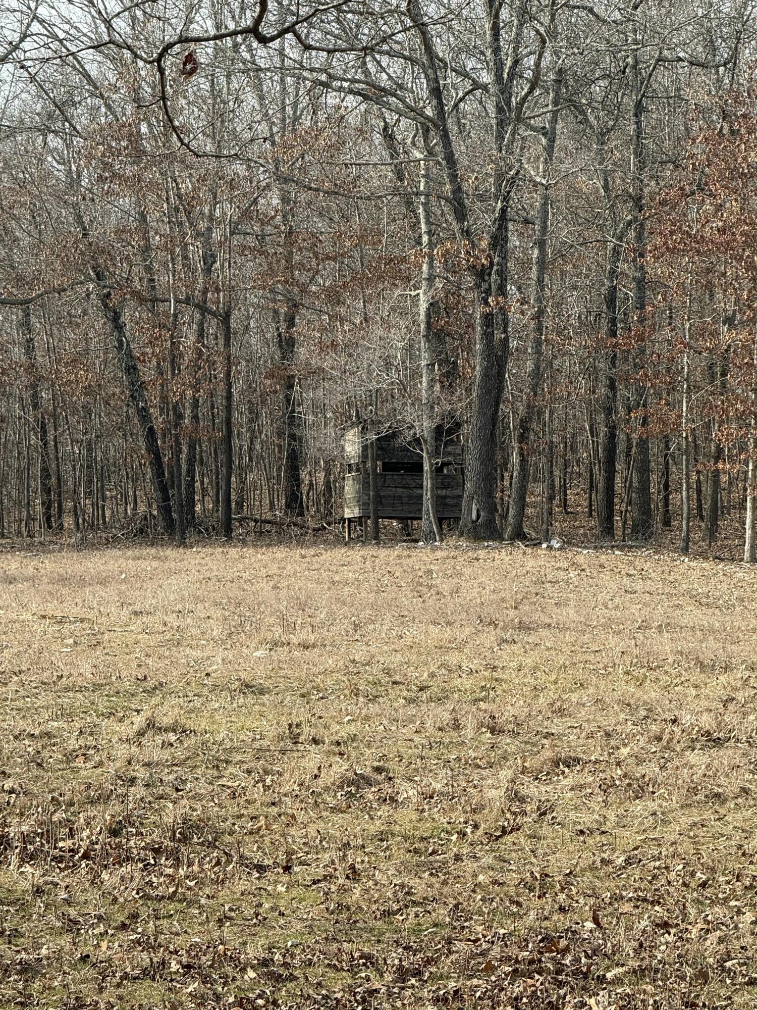 Photo 5 - Land for sale – 2112  County Road 348   Thayer, MO