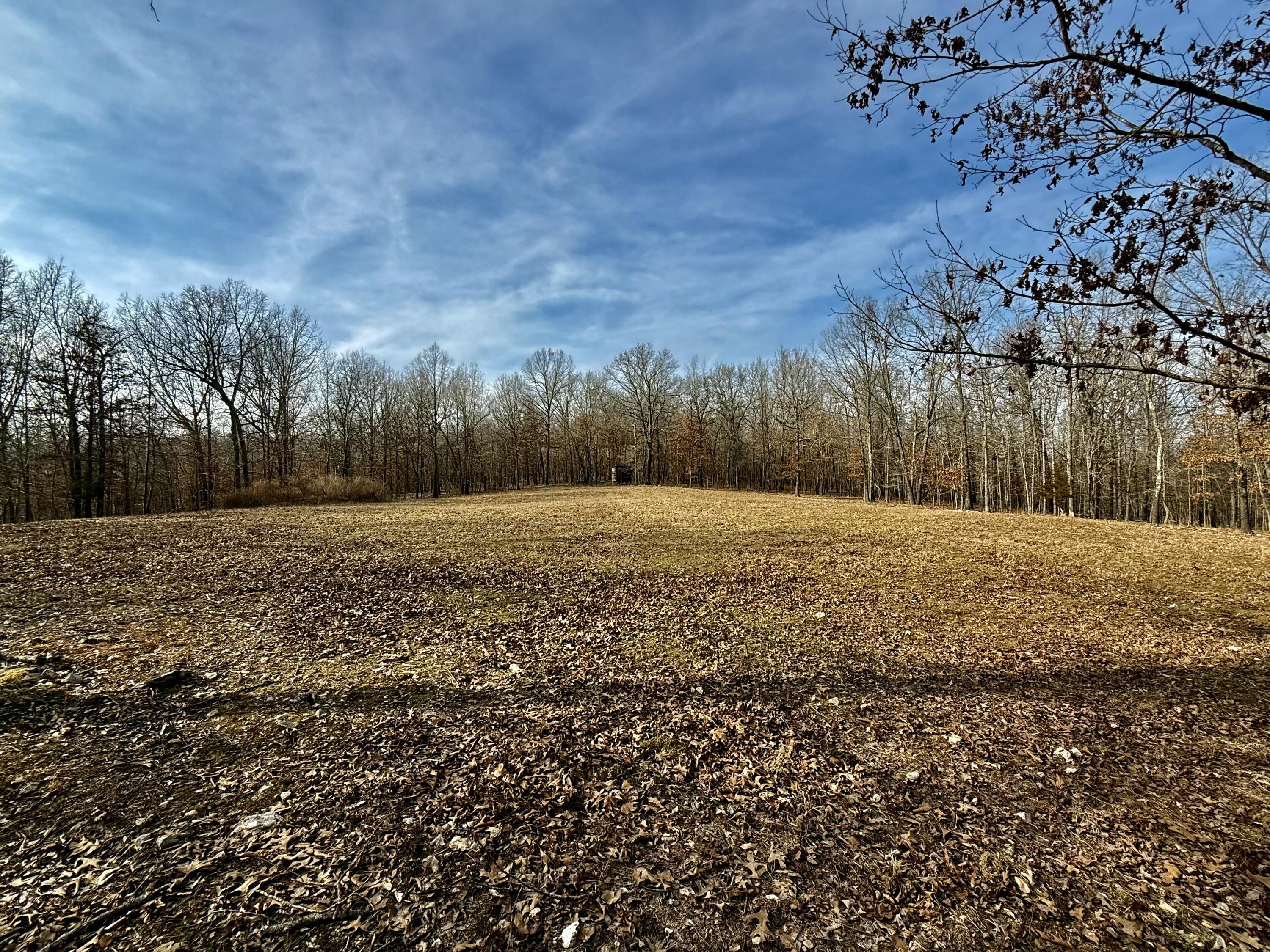 Photo 11 - Land for sale – 2112  County Road 348   Thayer, MO