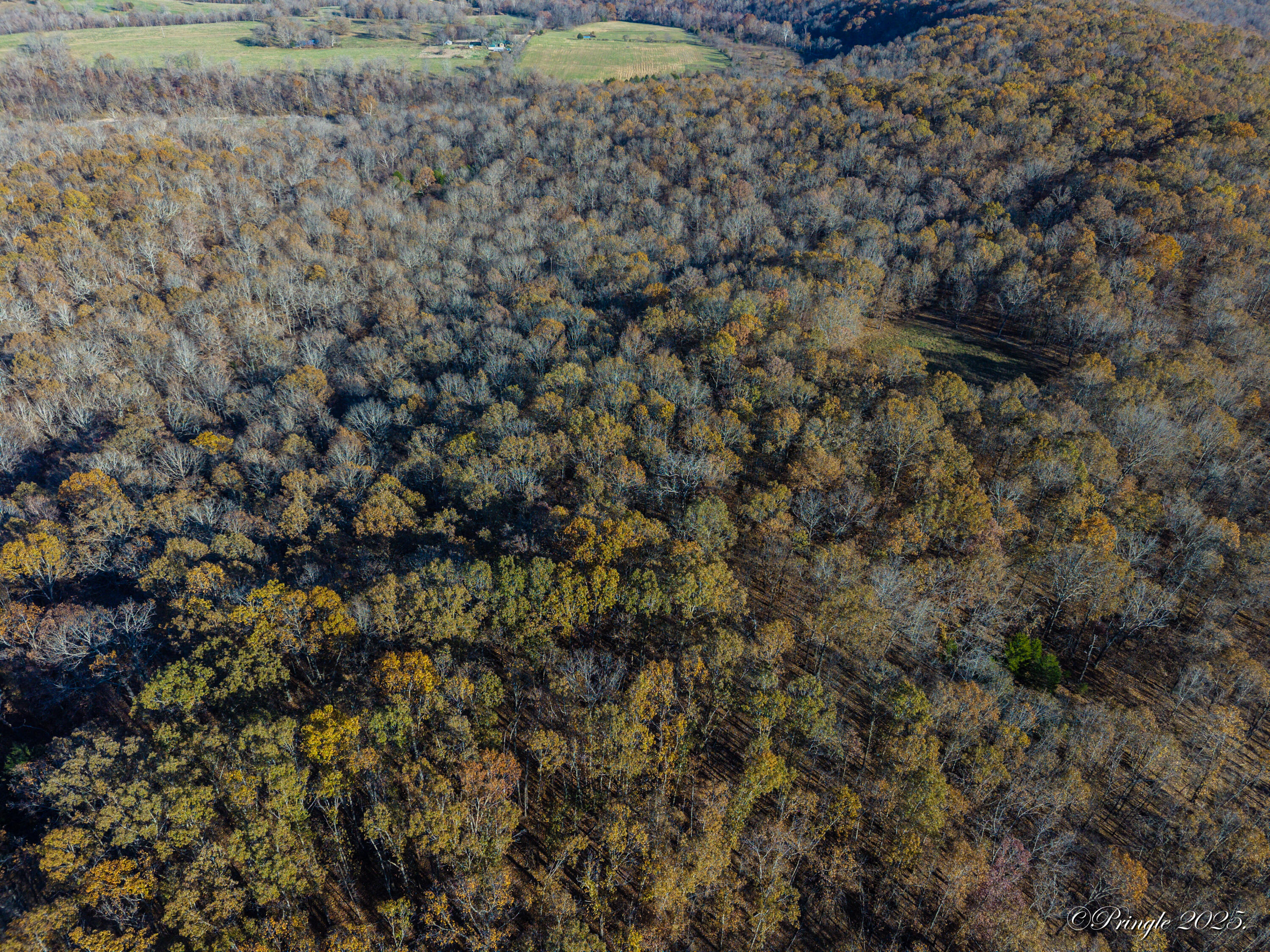 Photo 22 - Land for sale – 2112  County Road 348   Thayer, MO