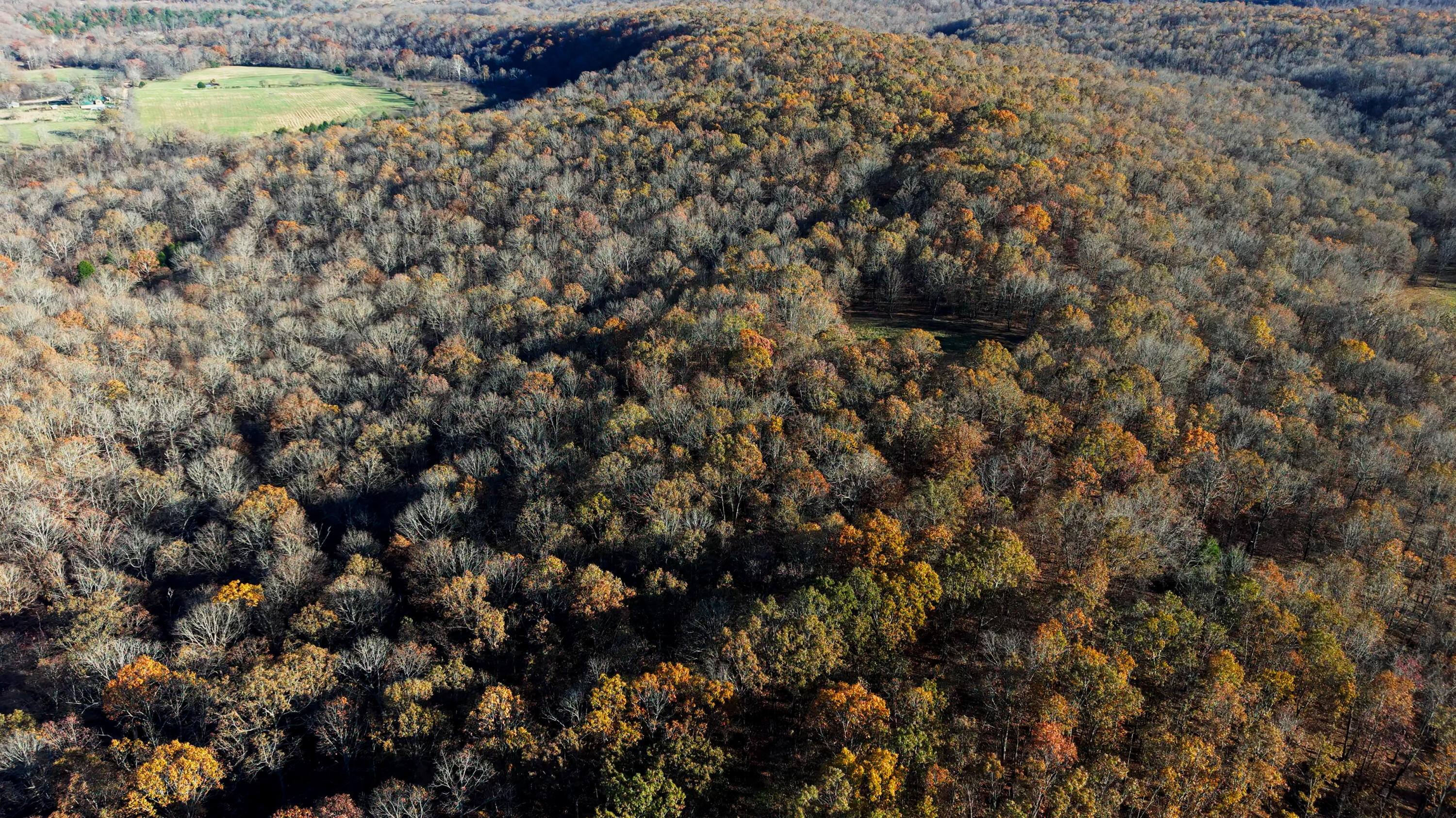 Photo 25 - Land for sale – 2112  County Road 348   Thayer, MO