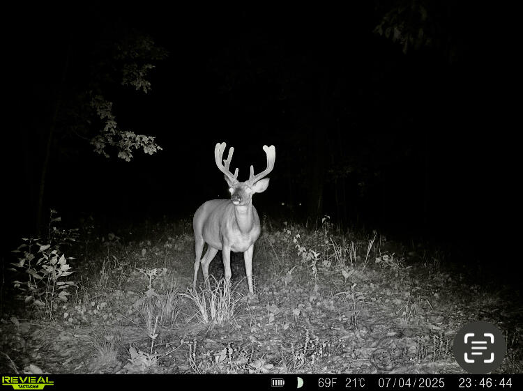 Photo 16 - Land for sale – 2112  County Road 348   Thayer, MO