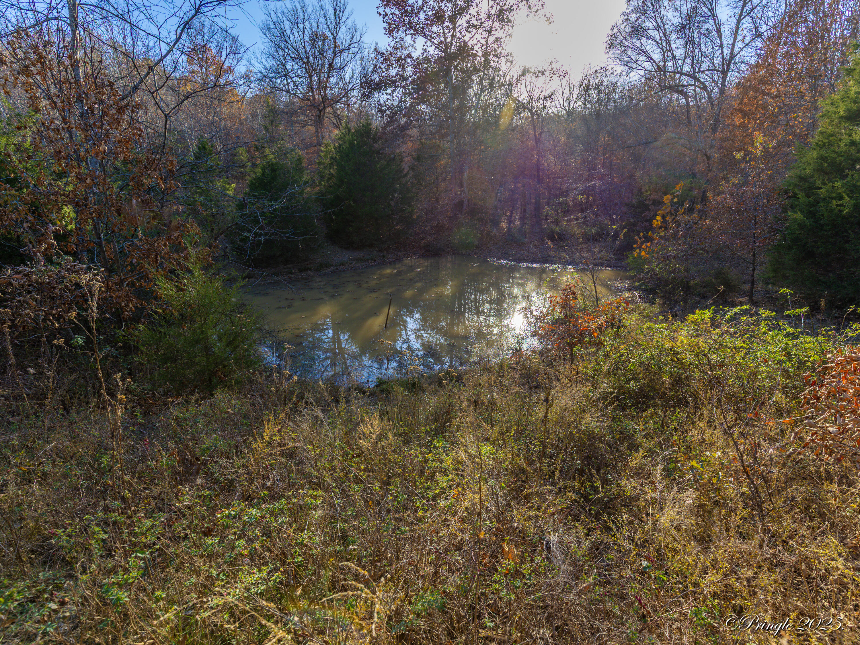 Photo 8 - Land for sale – 2112  County Road 348   Thayer, MO