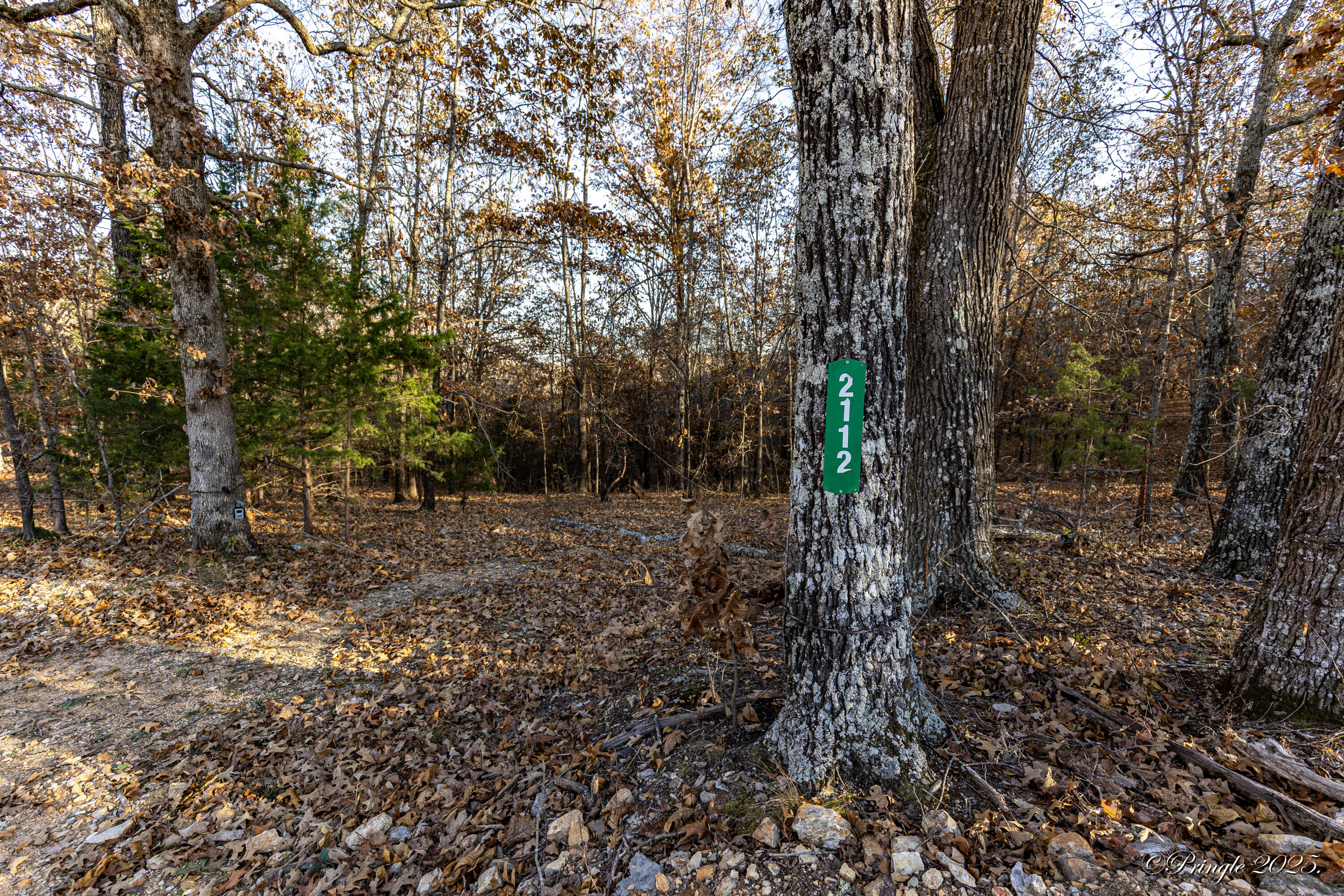 Photo 2 - Land for sale – 2112  County Road 348   Thayer, MO